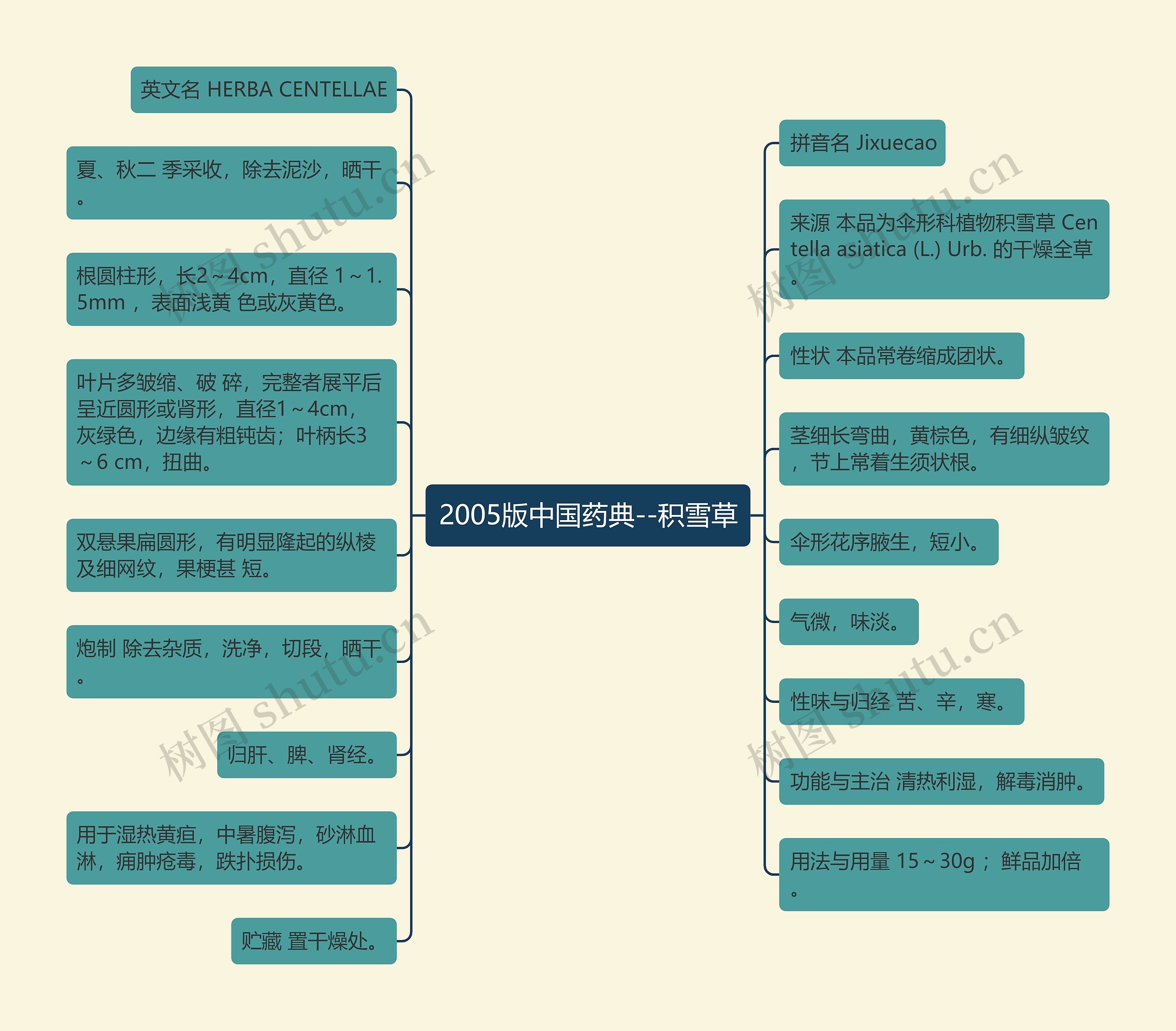 2005版中国药典--积雪草思维导图