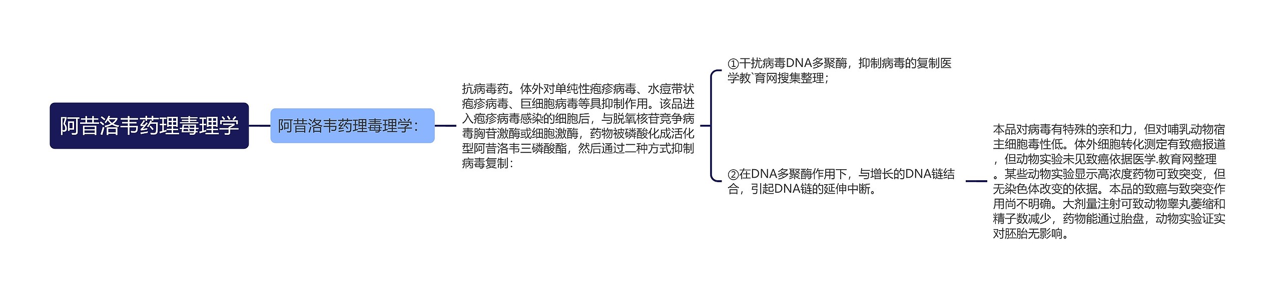 阿昔洛韦药理毒理学思维导图