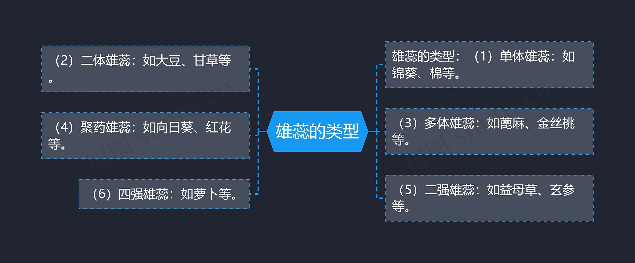 雄蕊的类型