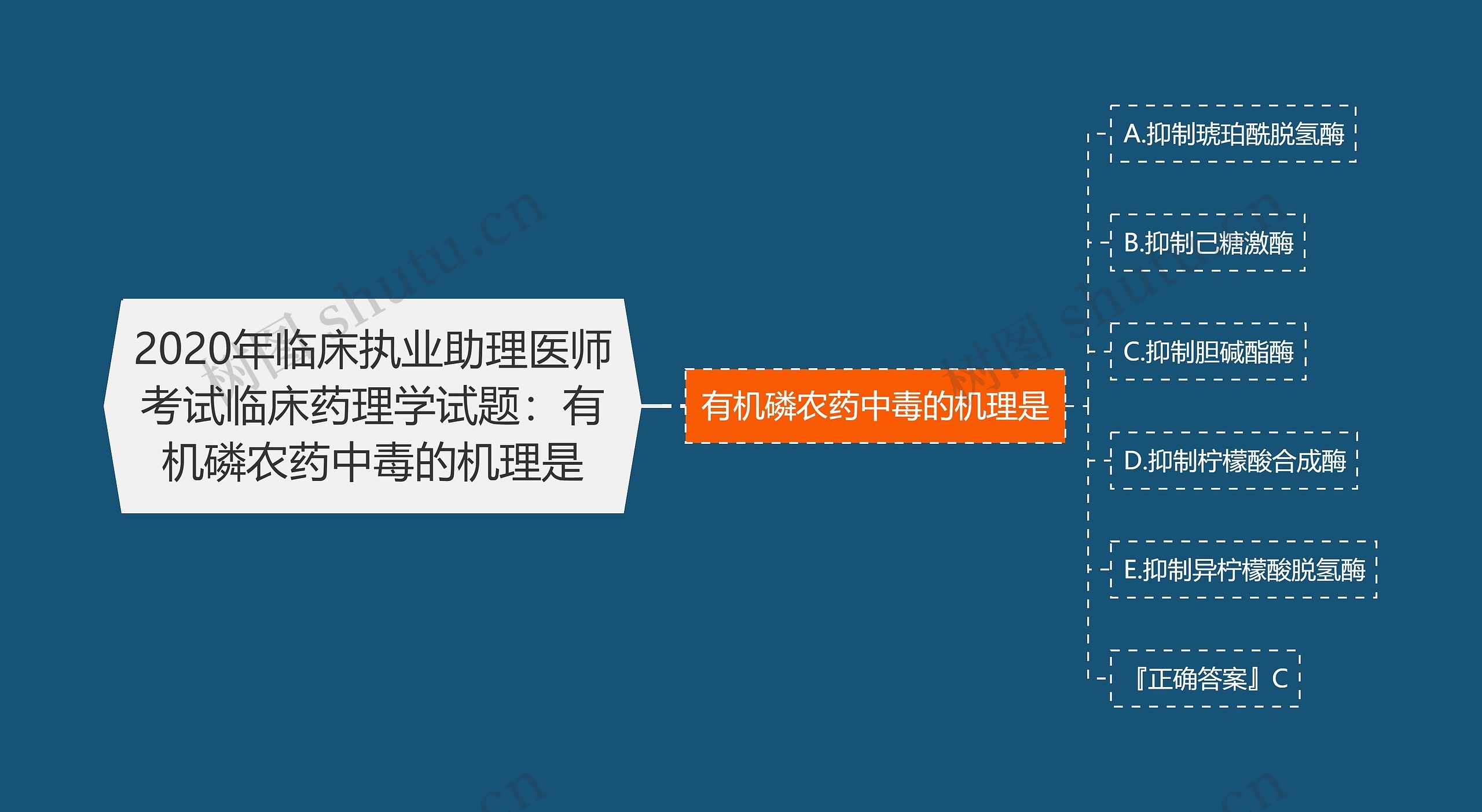 2020年临床执业助理医师考试临床药理学试题：有机磷农药中毒的机理是思维导图