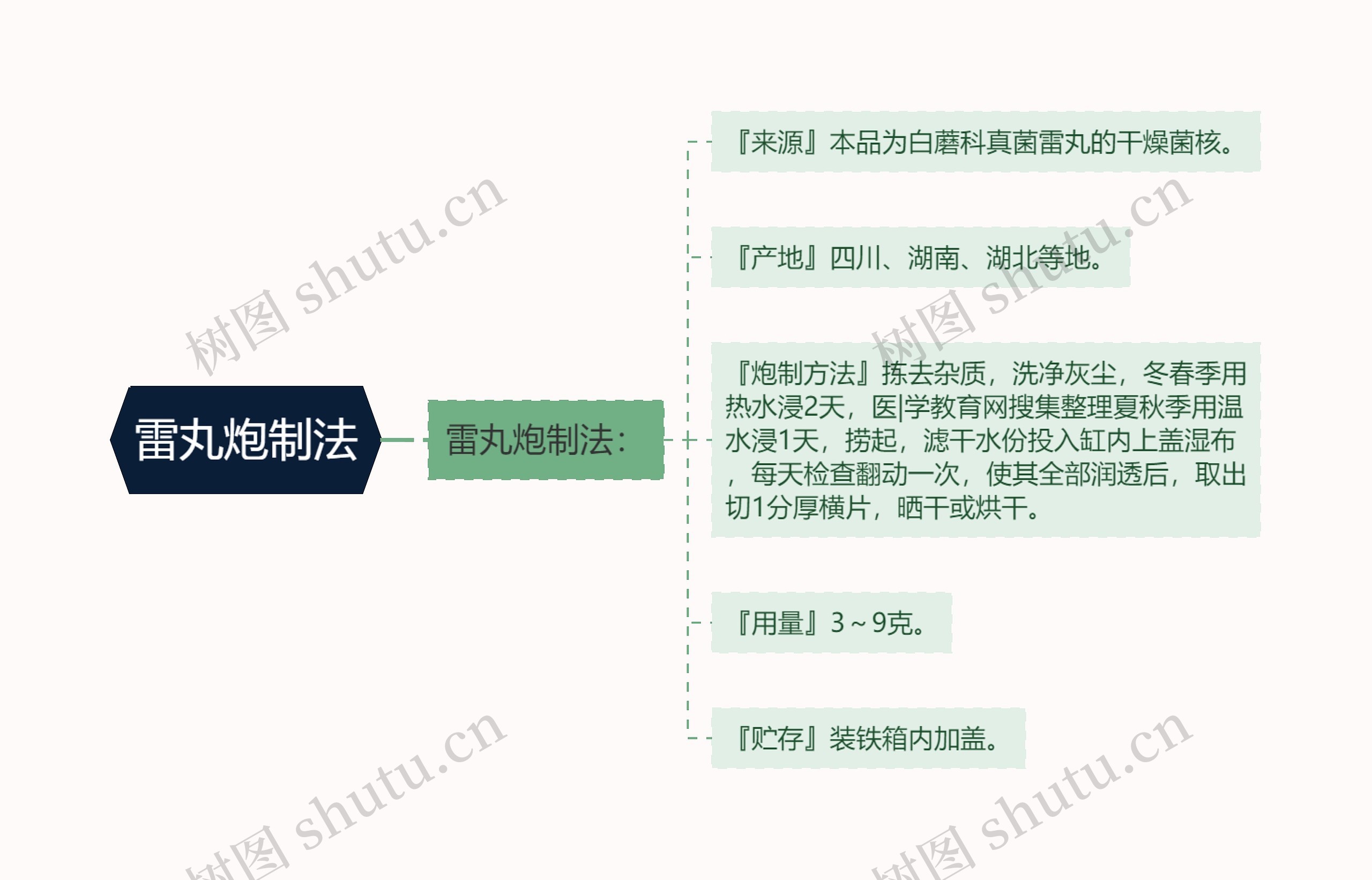 雷丸炮制法思维导图