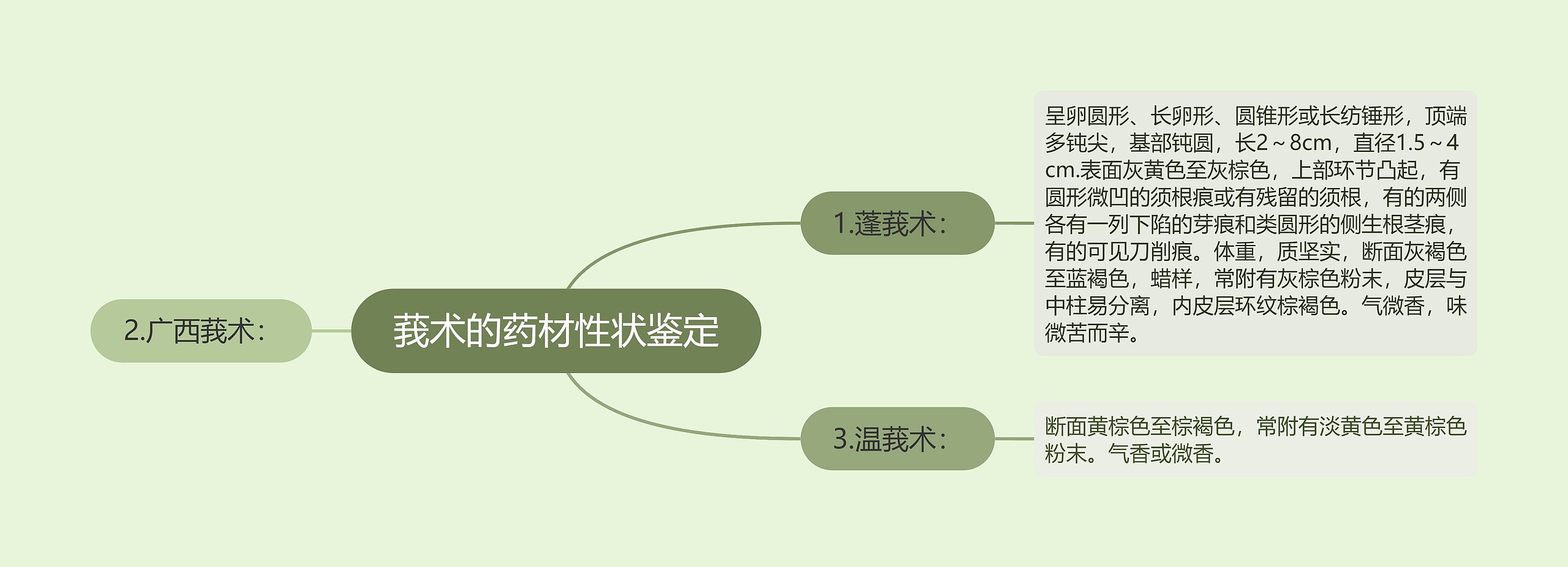 莪术的药材性状鉴定思维导图