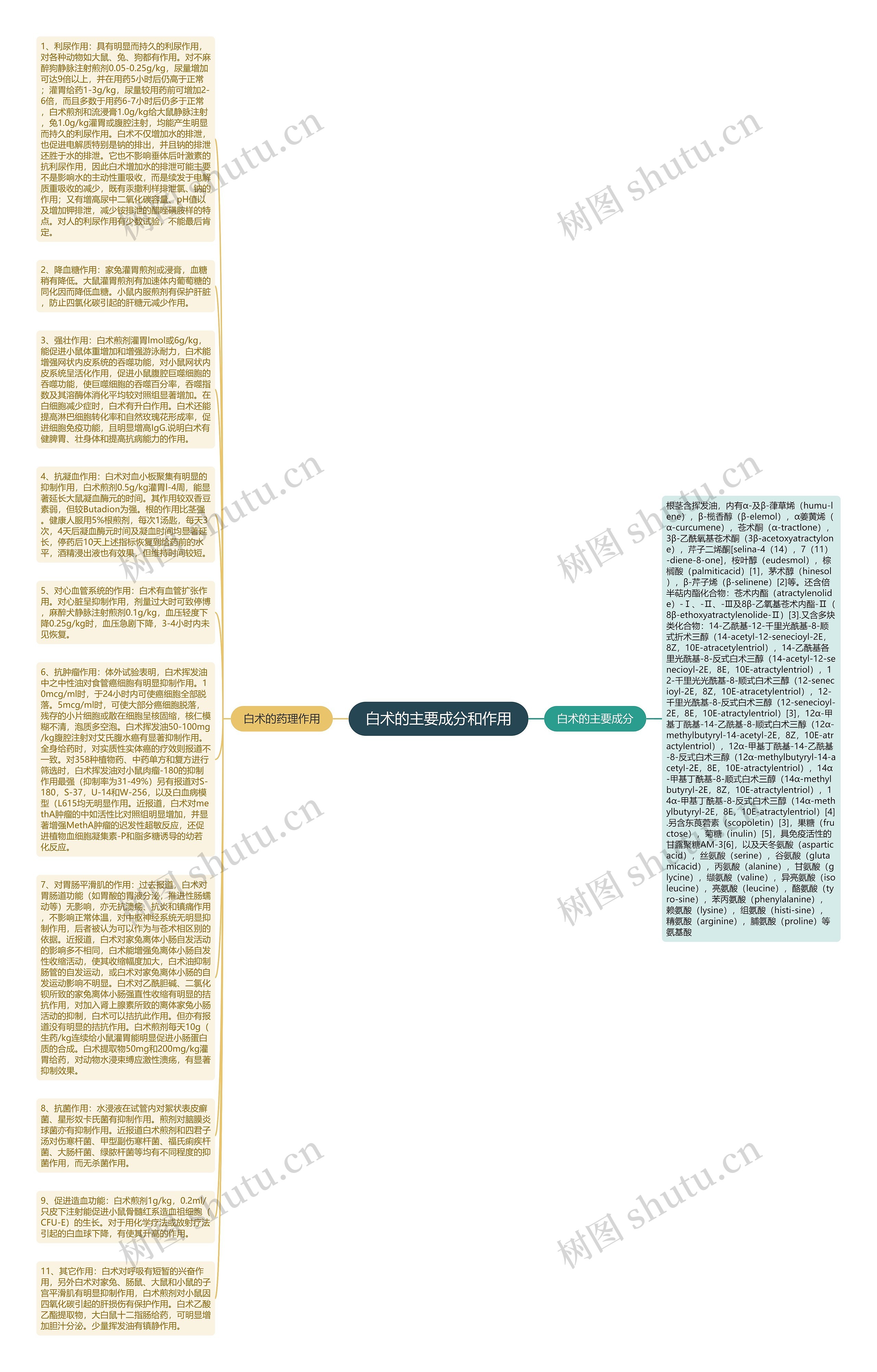 白术的主要成分和作用思维导图