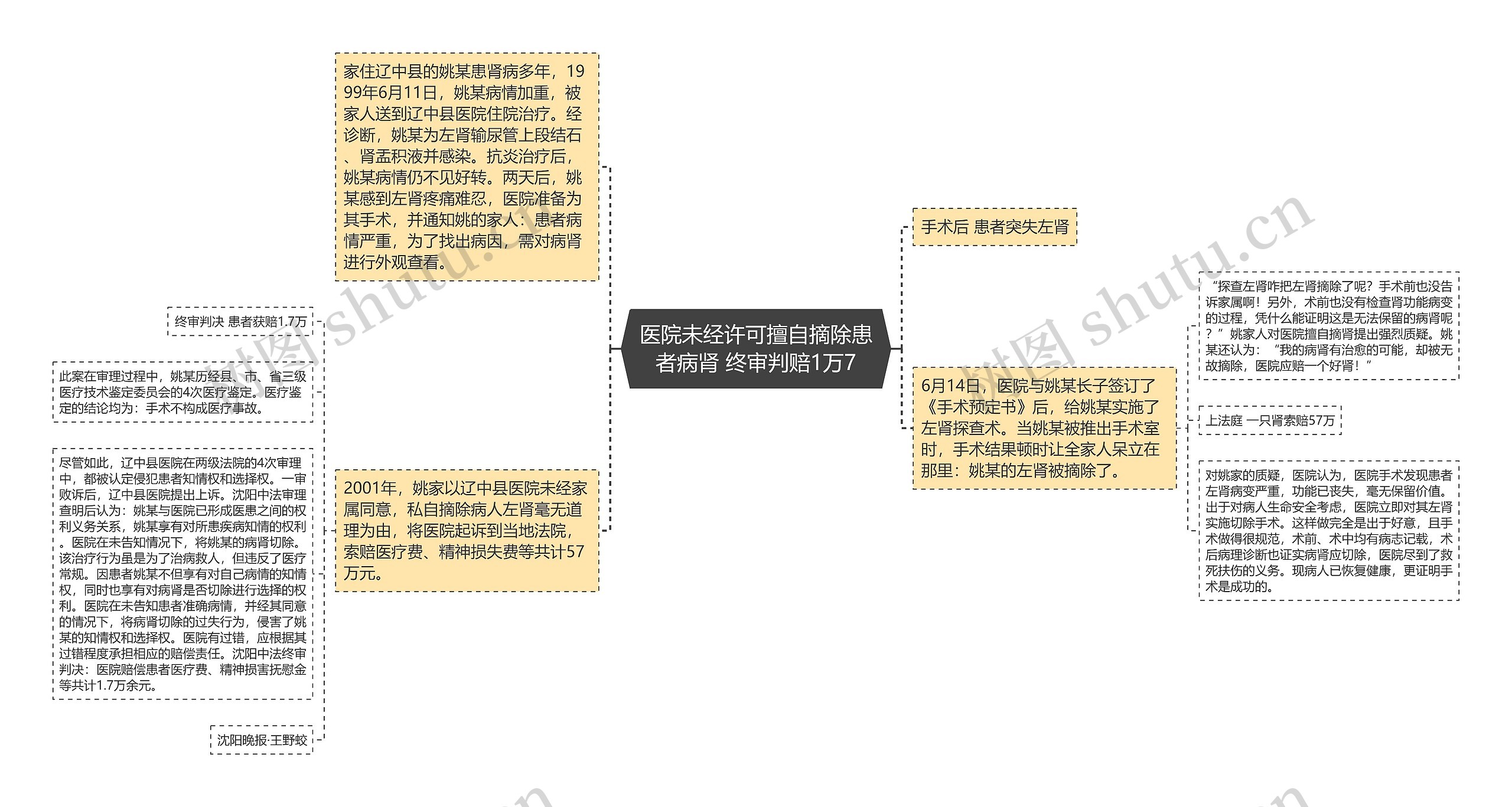 医院未经许可擅自摘除患者病肾 终审判赔1万7思维导图