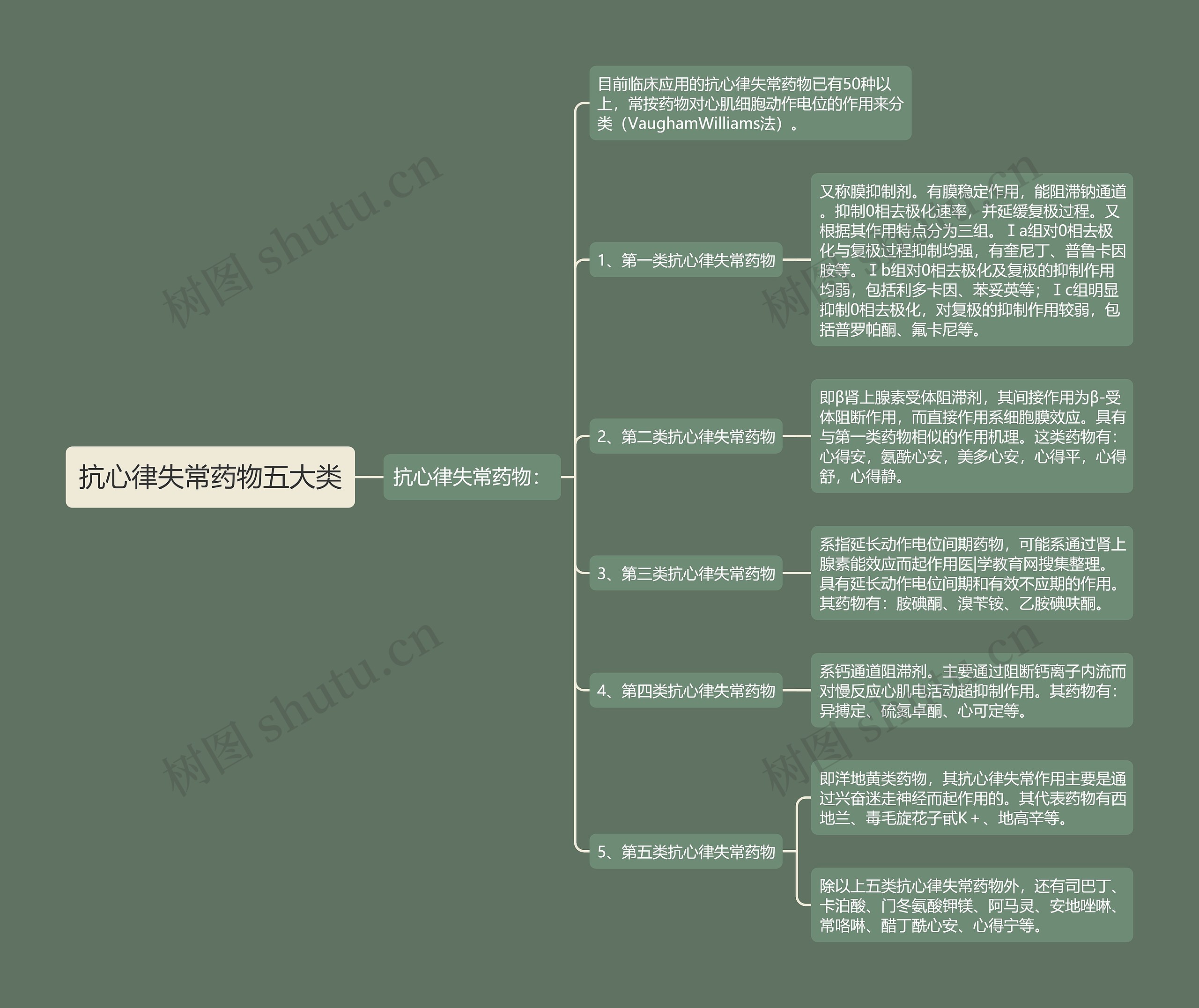 抗心律失常药物五大类思维导图