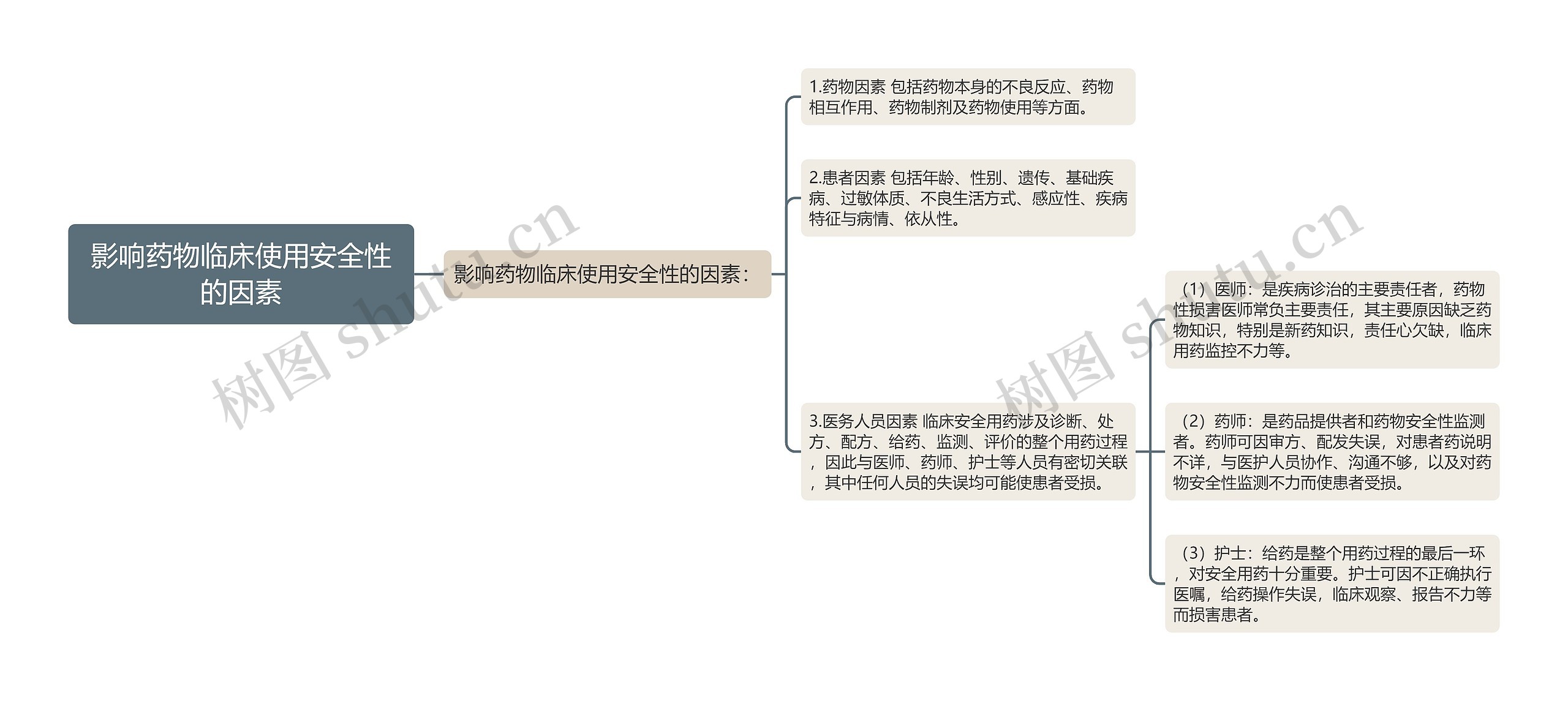 影响药物临床使用安全性的因素思维导图