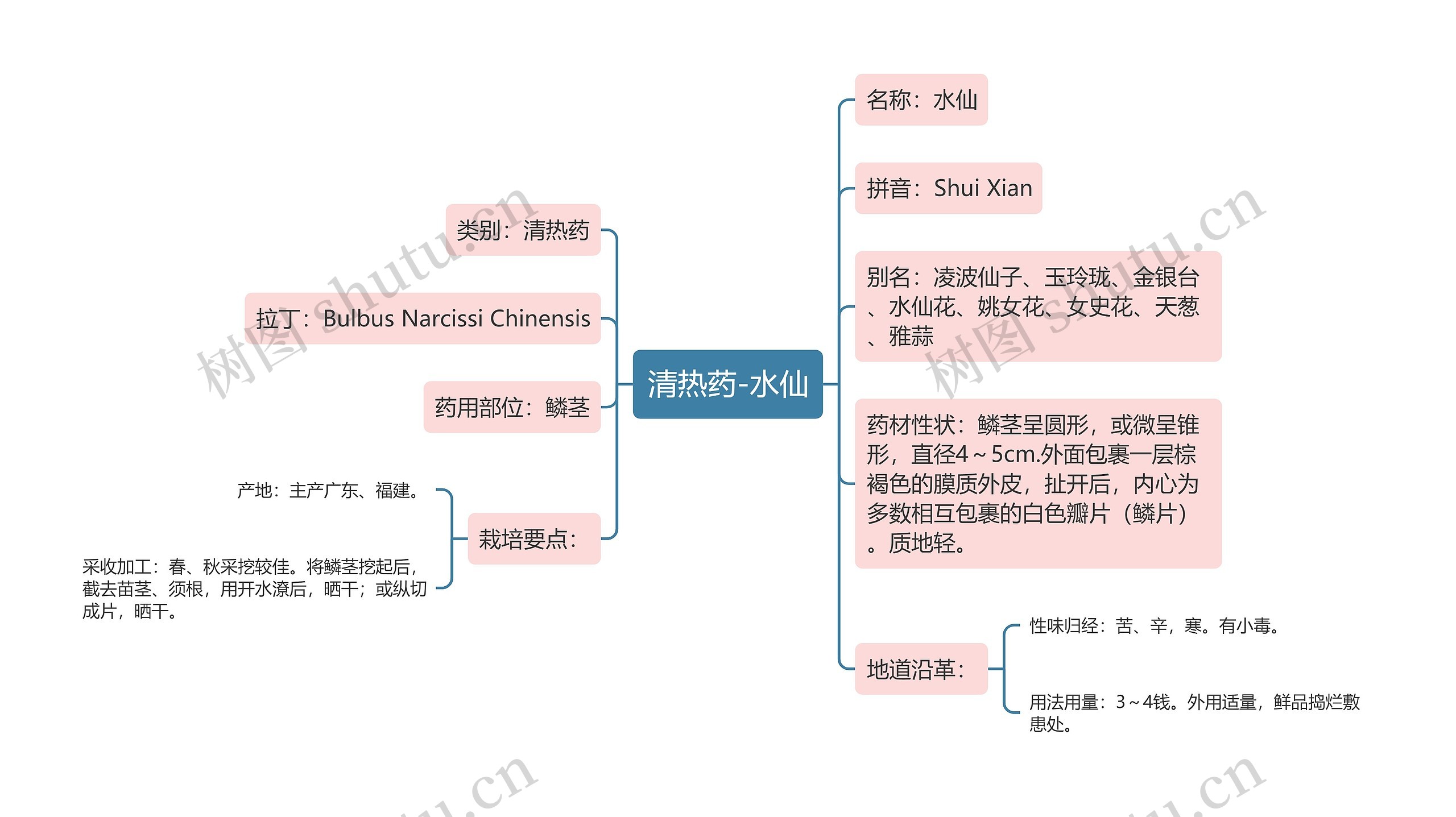 清热药-水仙思维导图