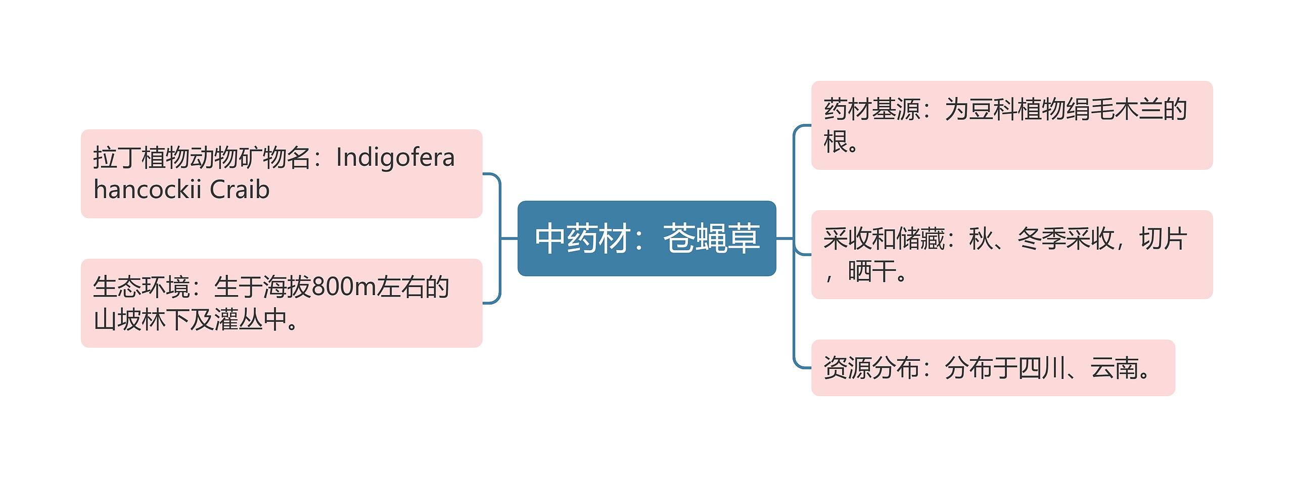 中药材：苍蝇草思维导图