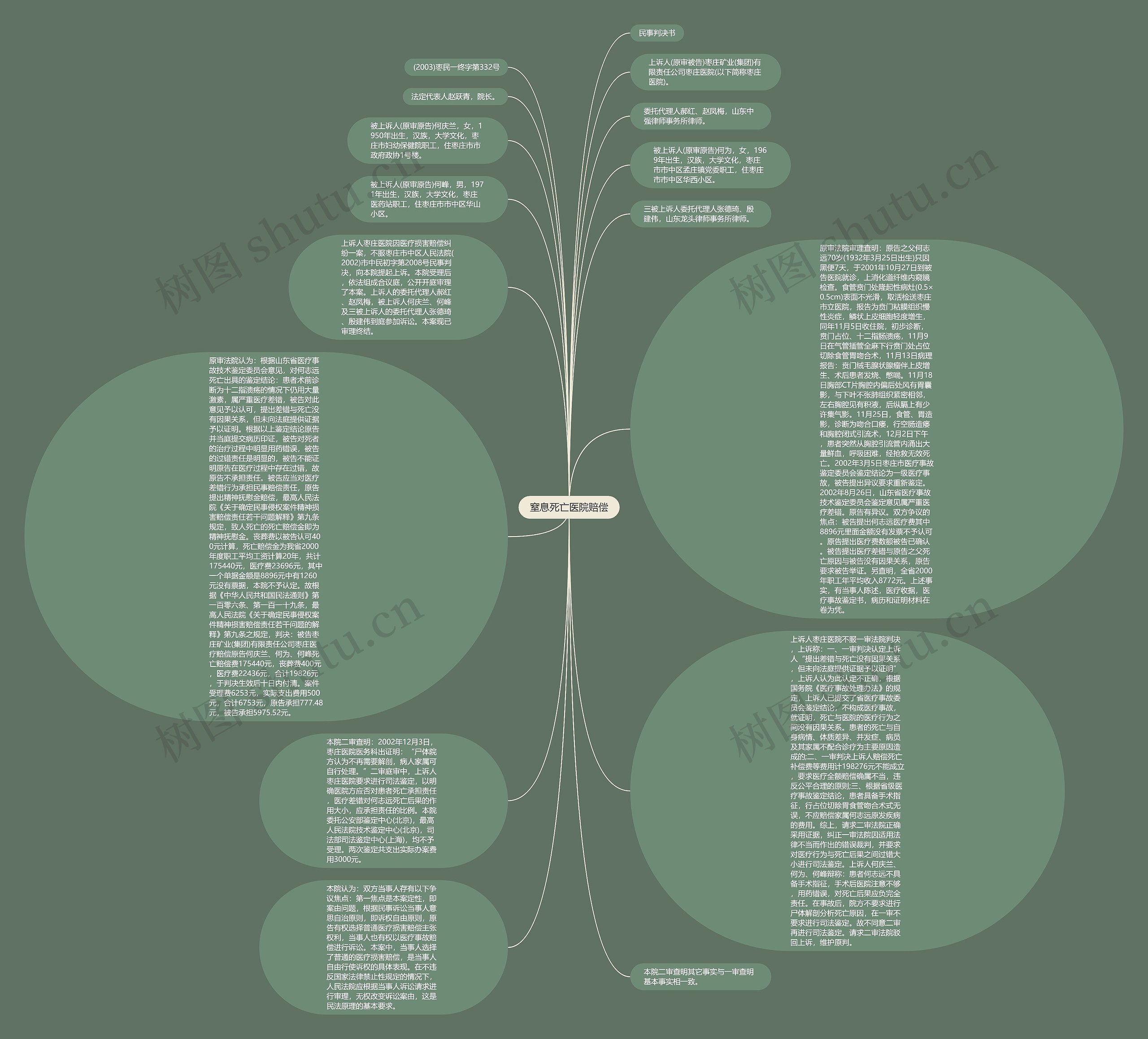 窒息死亡医院赔偿思维导图