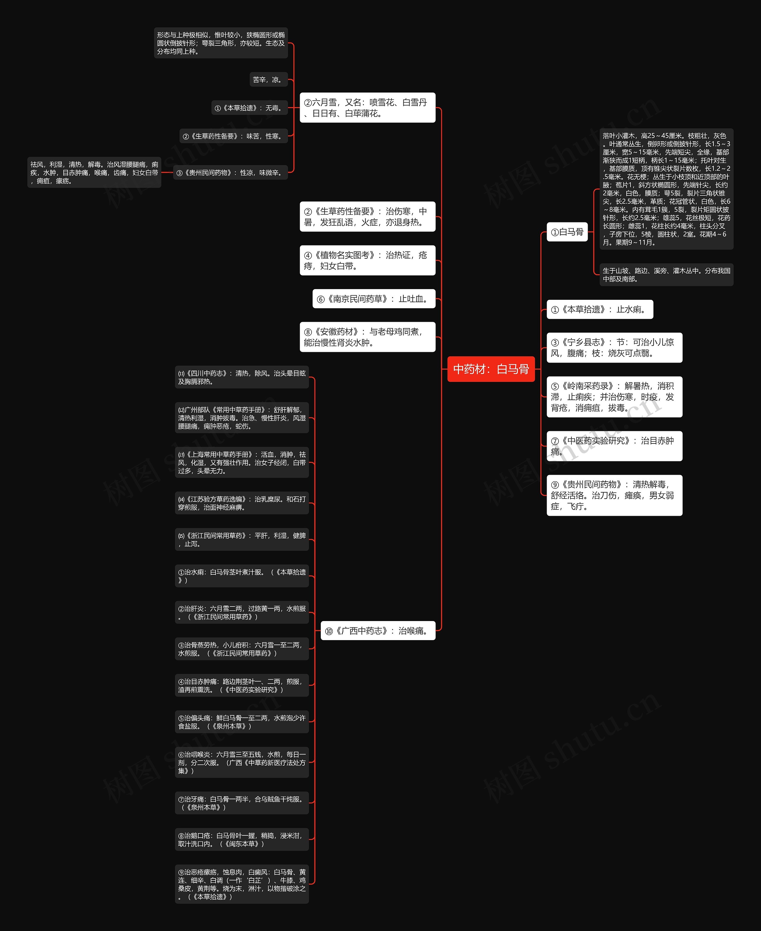 中药材:白马骨 中药材:白马骨