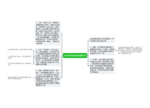 NA的同类药的药理作用