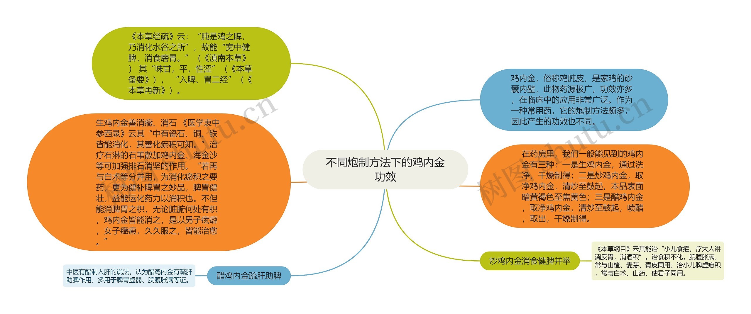 不同炮制方法下的鸡内金功效思维导图