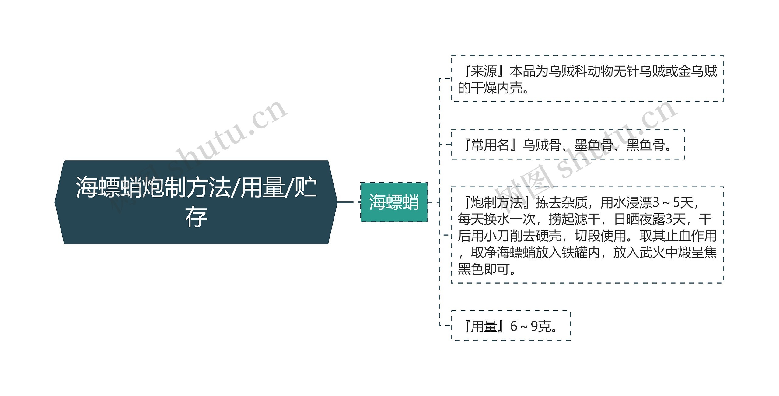 海螵蛸炮制方法/用量/贮存思维导图