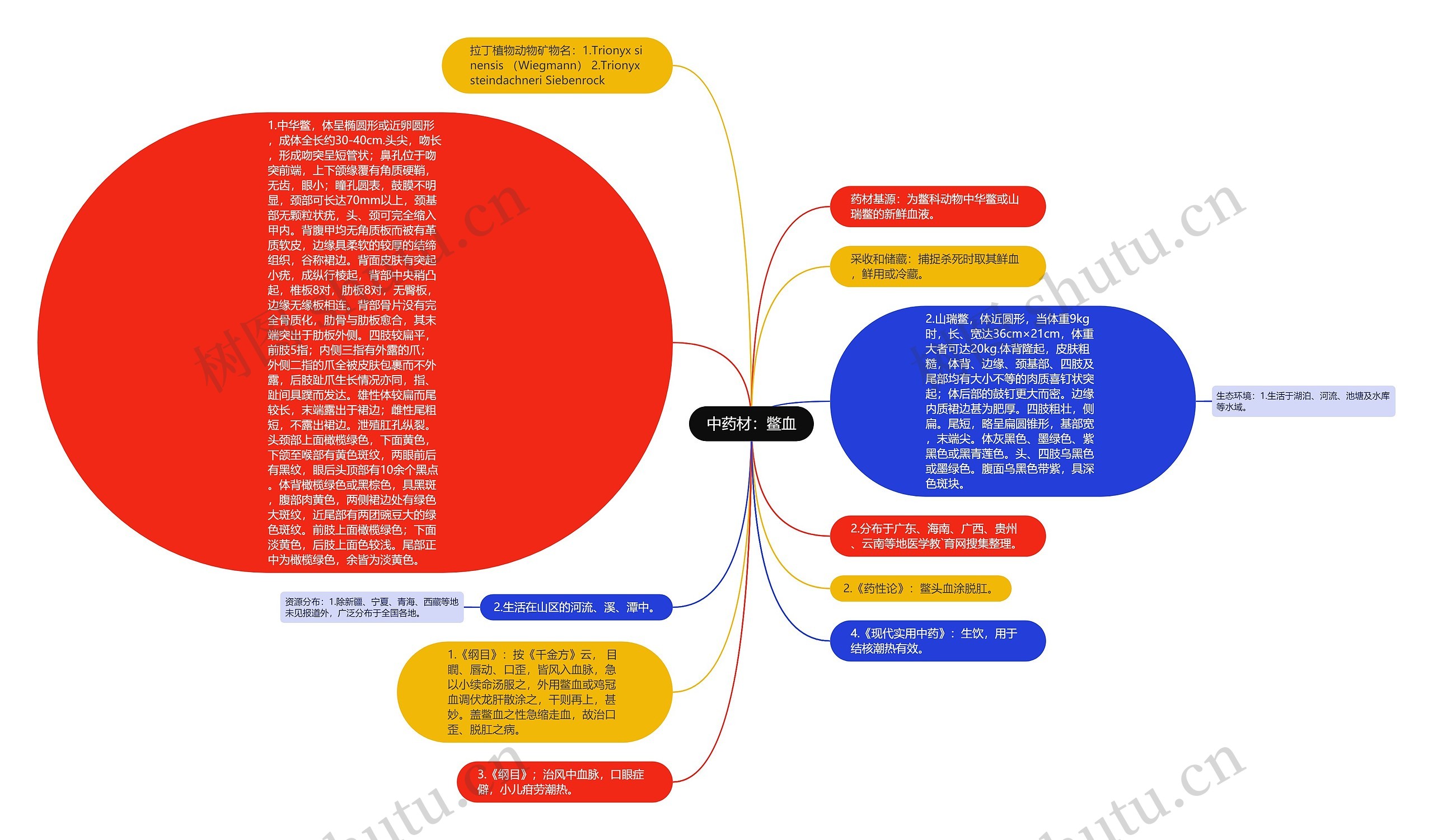 中药材：鳖血思维导图