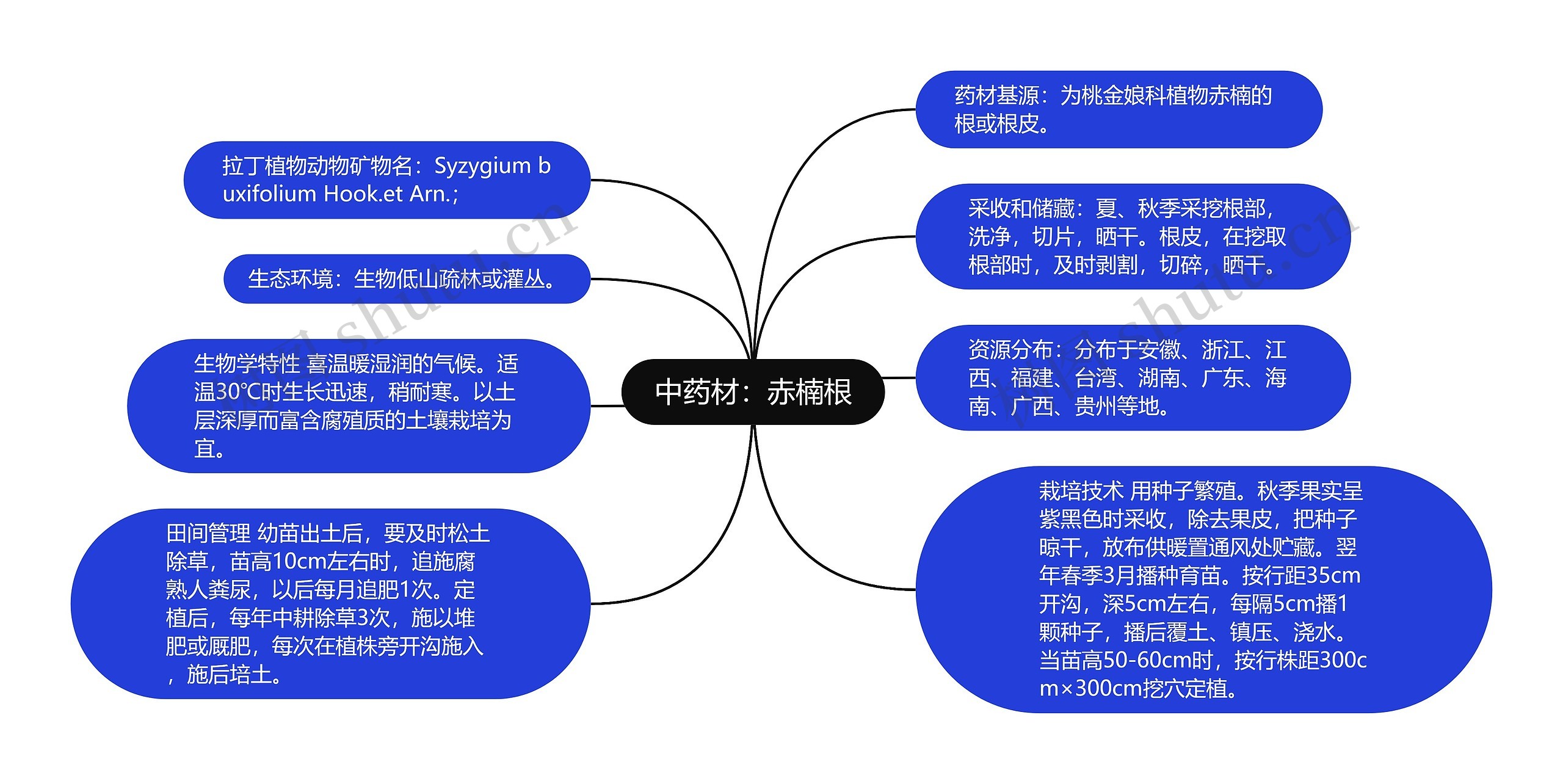 中药材：赤楠根思维导图