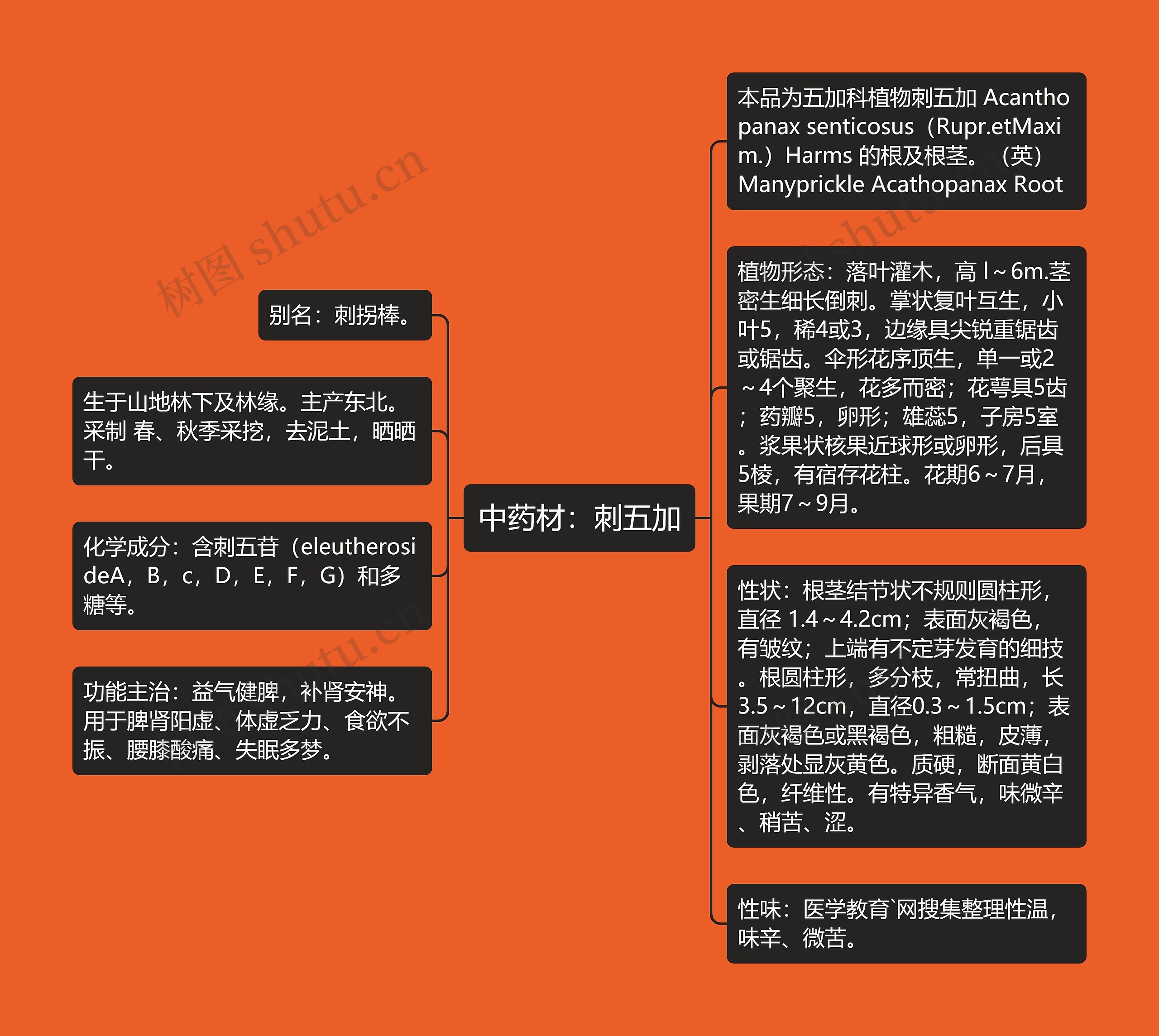 中药材：刺五加思维导图