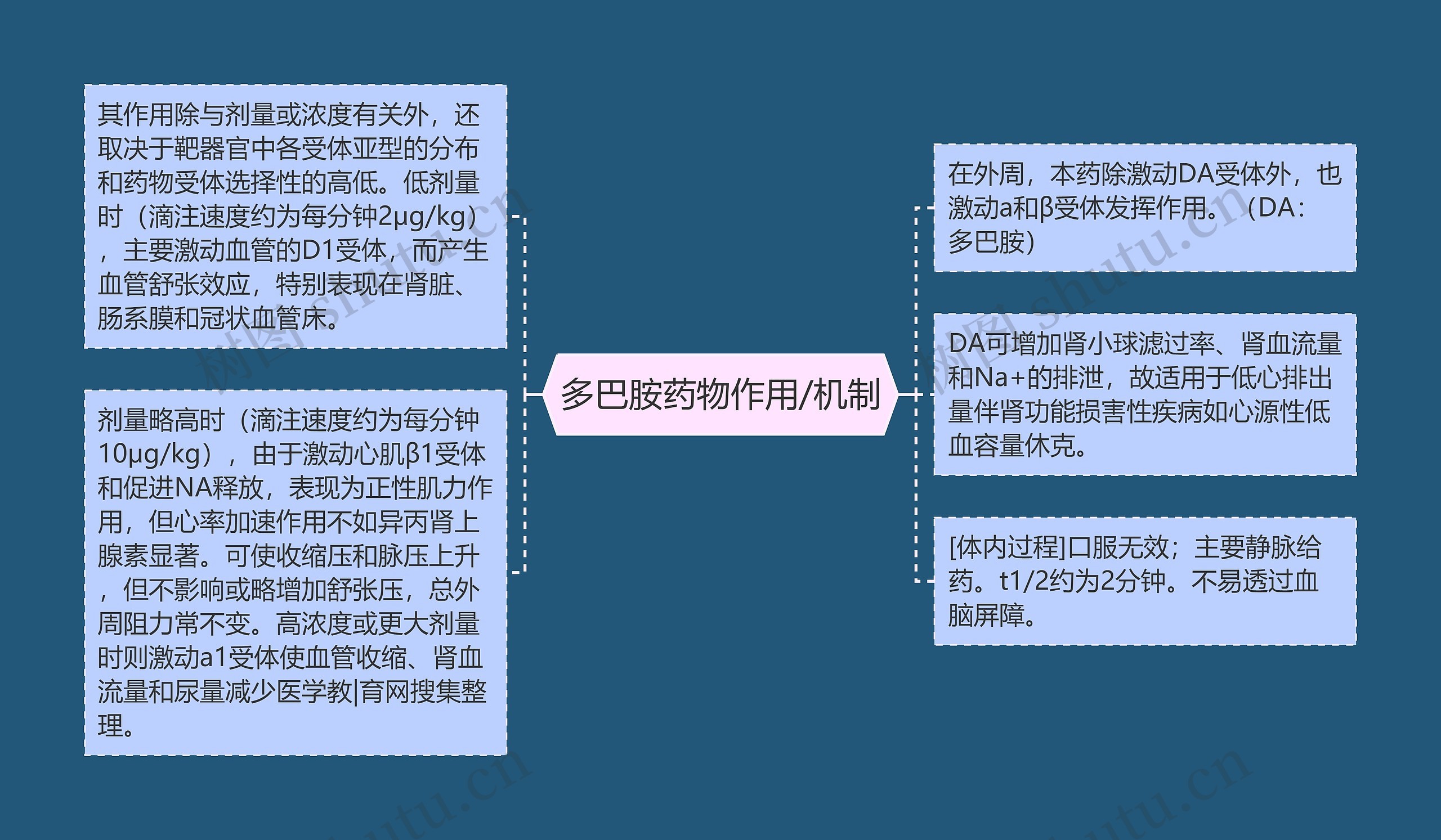 多巴胺药物作用/机制思维导图