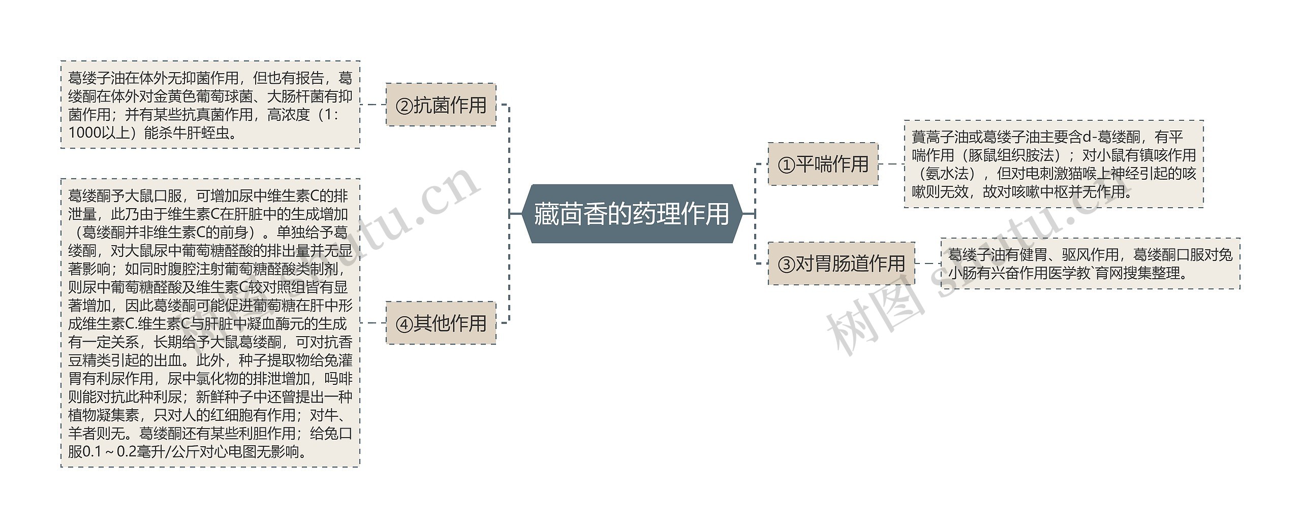 藏茴香的药理作用思维导图