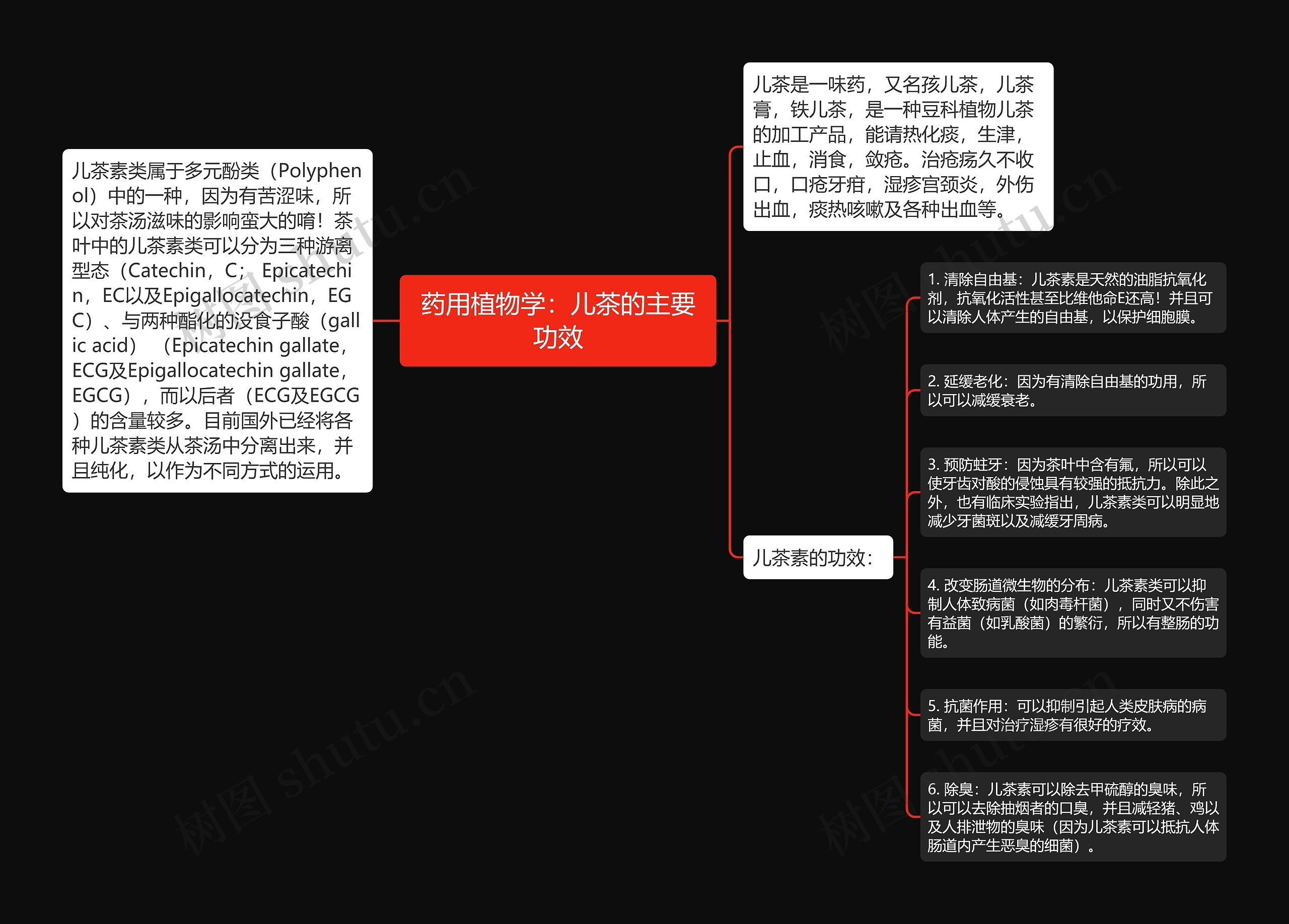 药用植物学：儿茶的主要功效思维导图