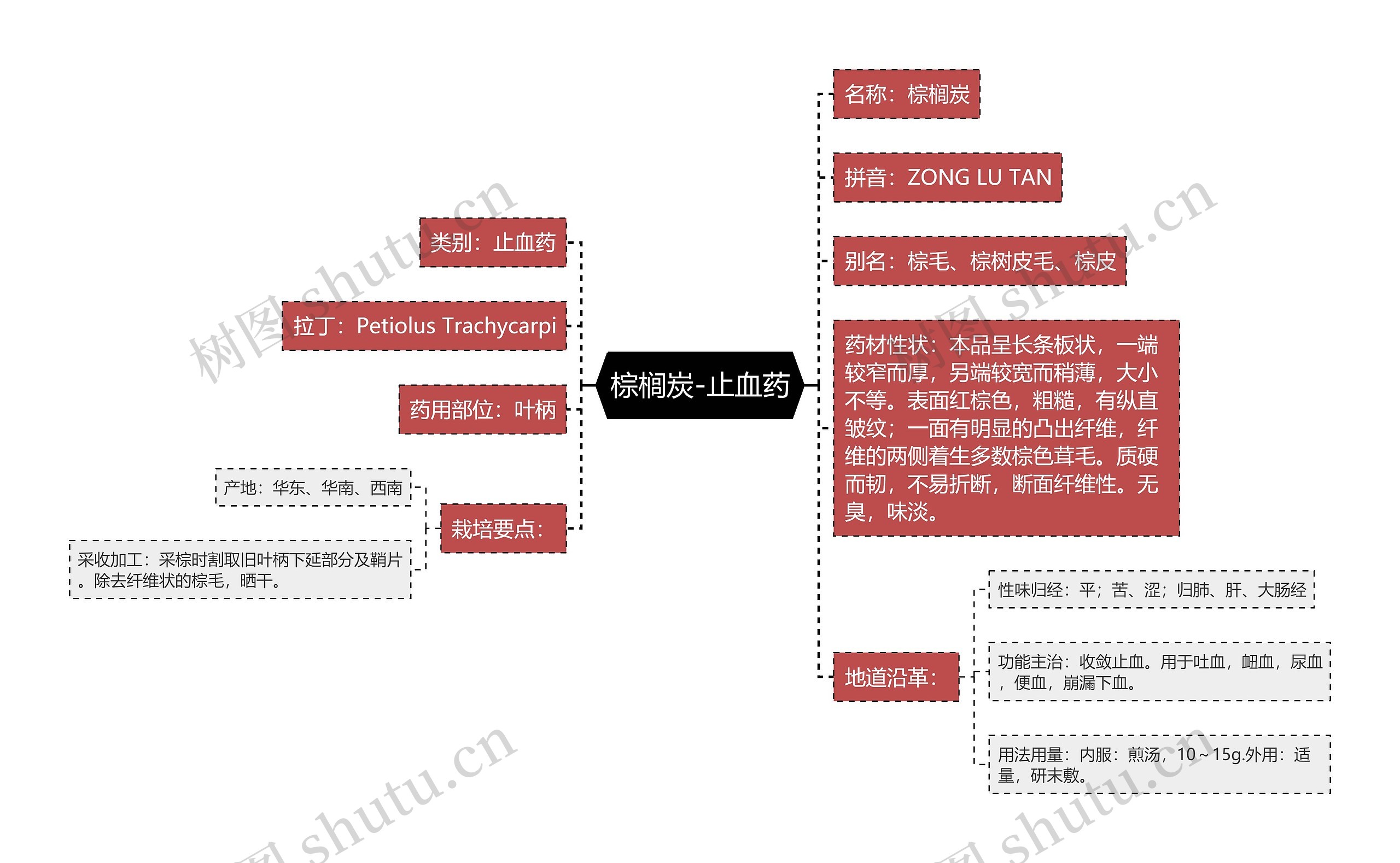棕榈炭-止血药 棕榈炭-止血药