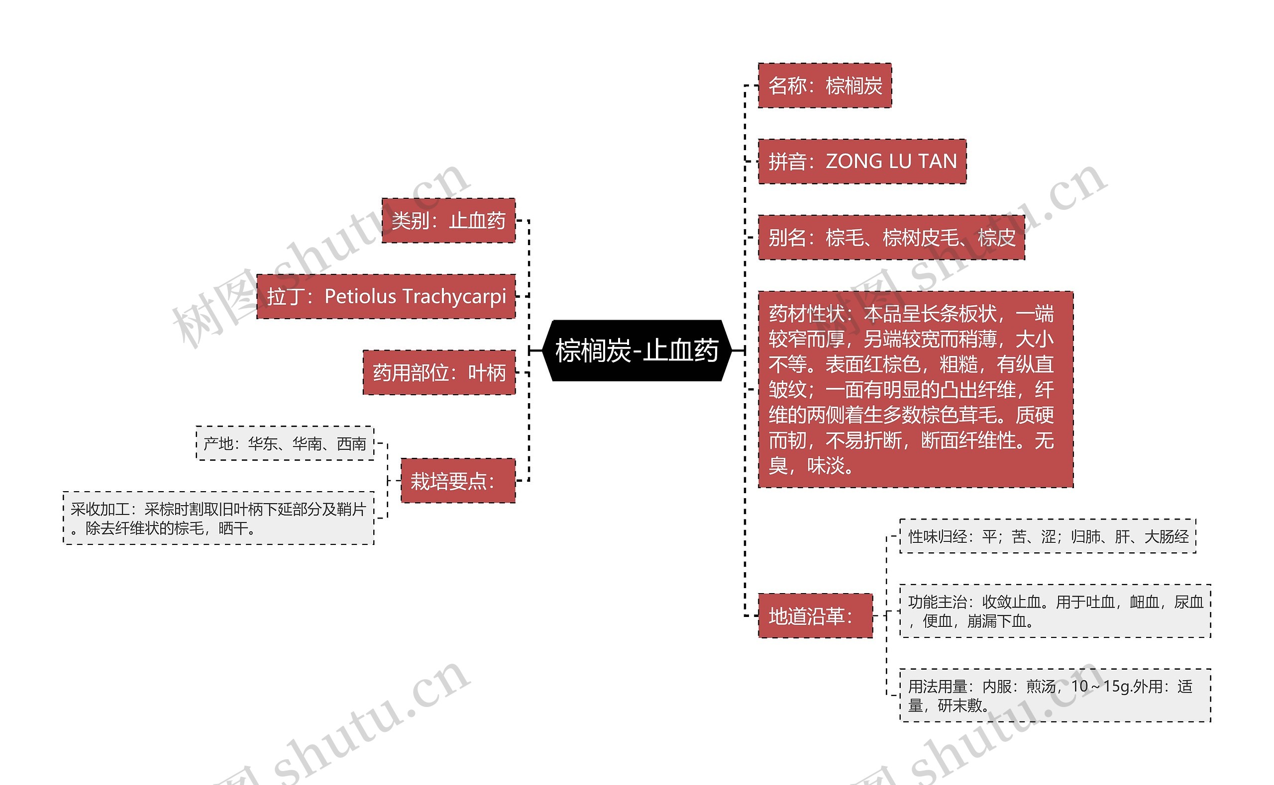棕榈炭-止血药思维导图