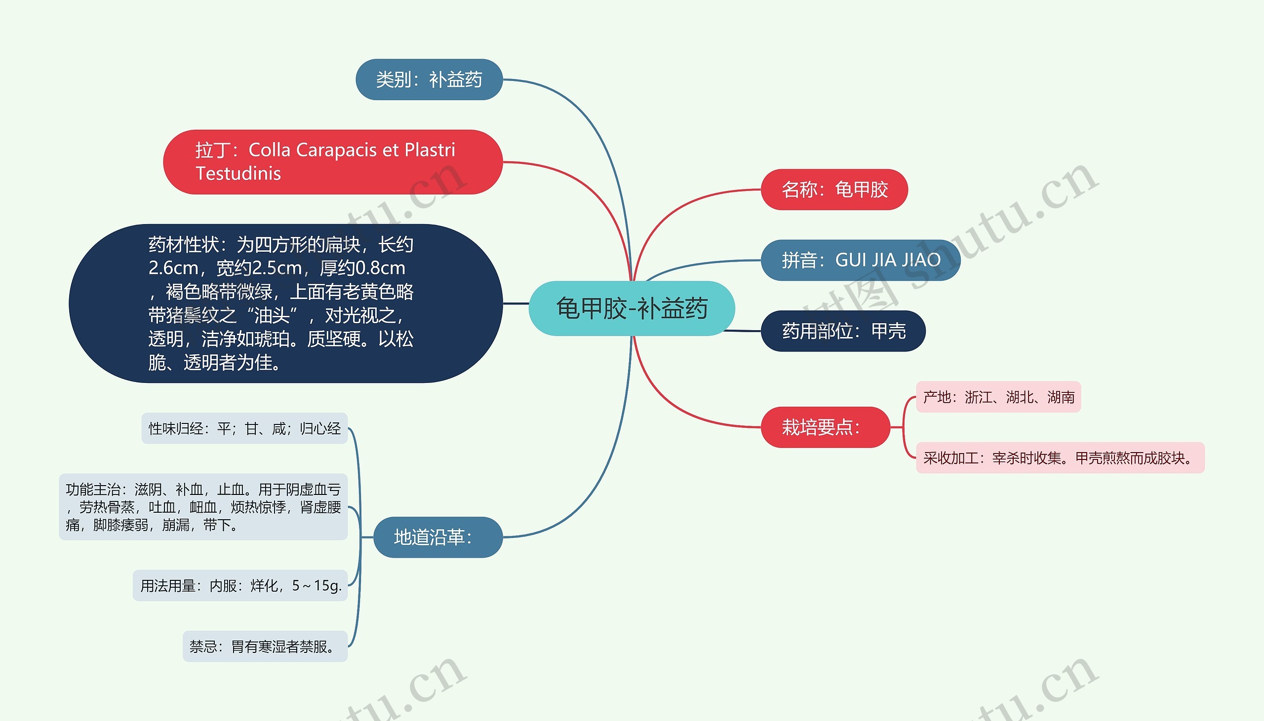 龟甲胶-补益药 龟甲胶-补益药