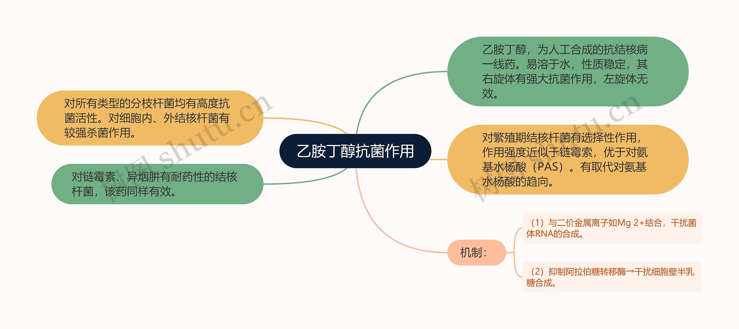 乙胺丁醇抗菌作用思维导图