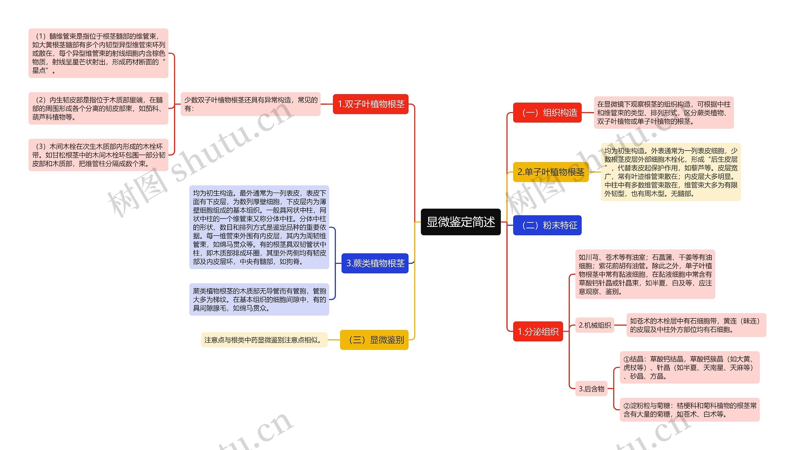 显微鉴定简述思维导图