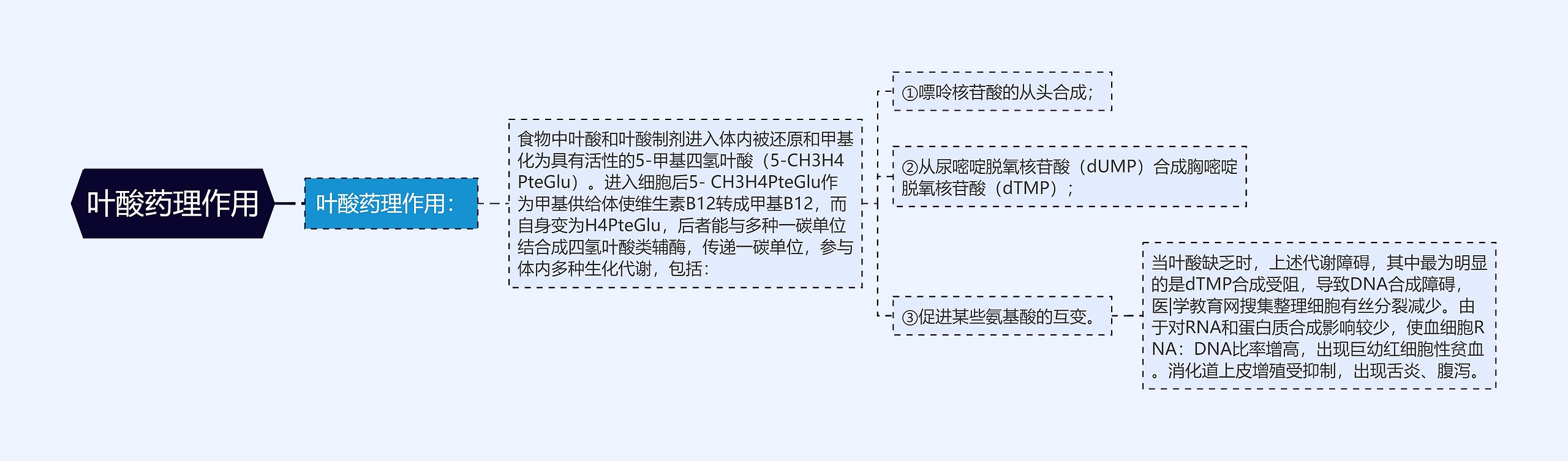 叶酸药理作用思维导图