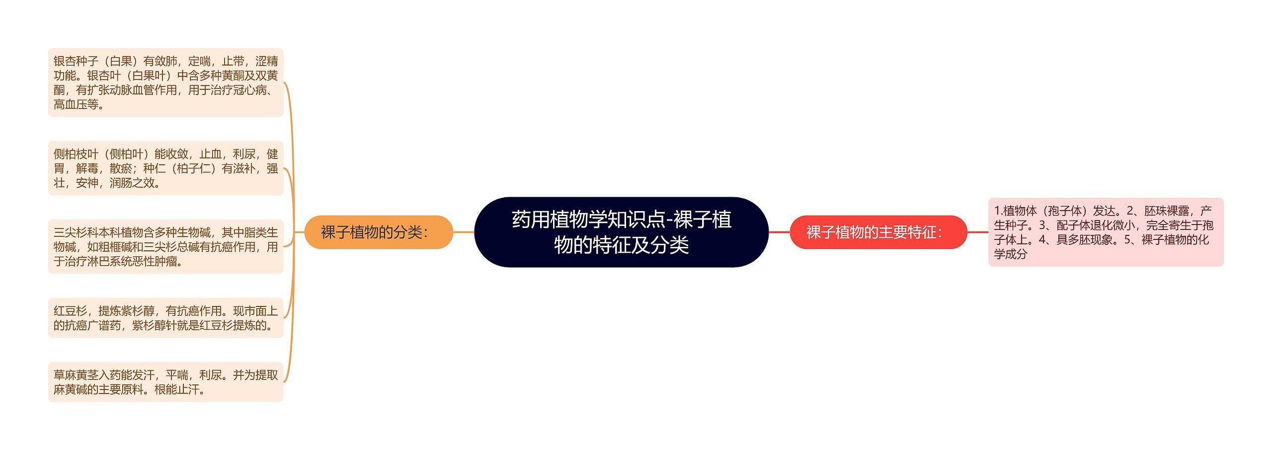 药用植物学知识点-裸子植物的特征及分类 药用植物学知识点-裸子植物的特征及分类