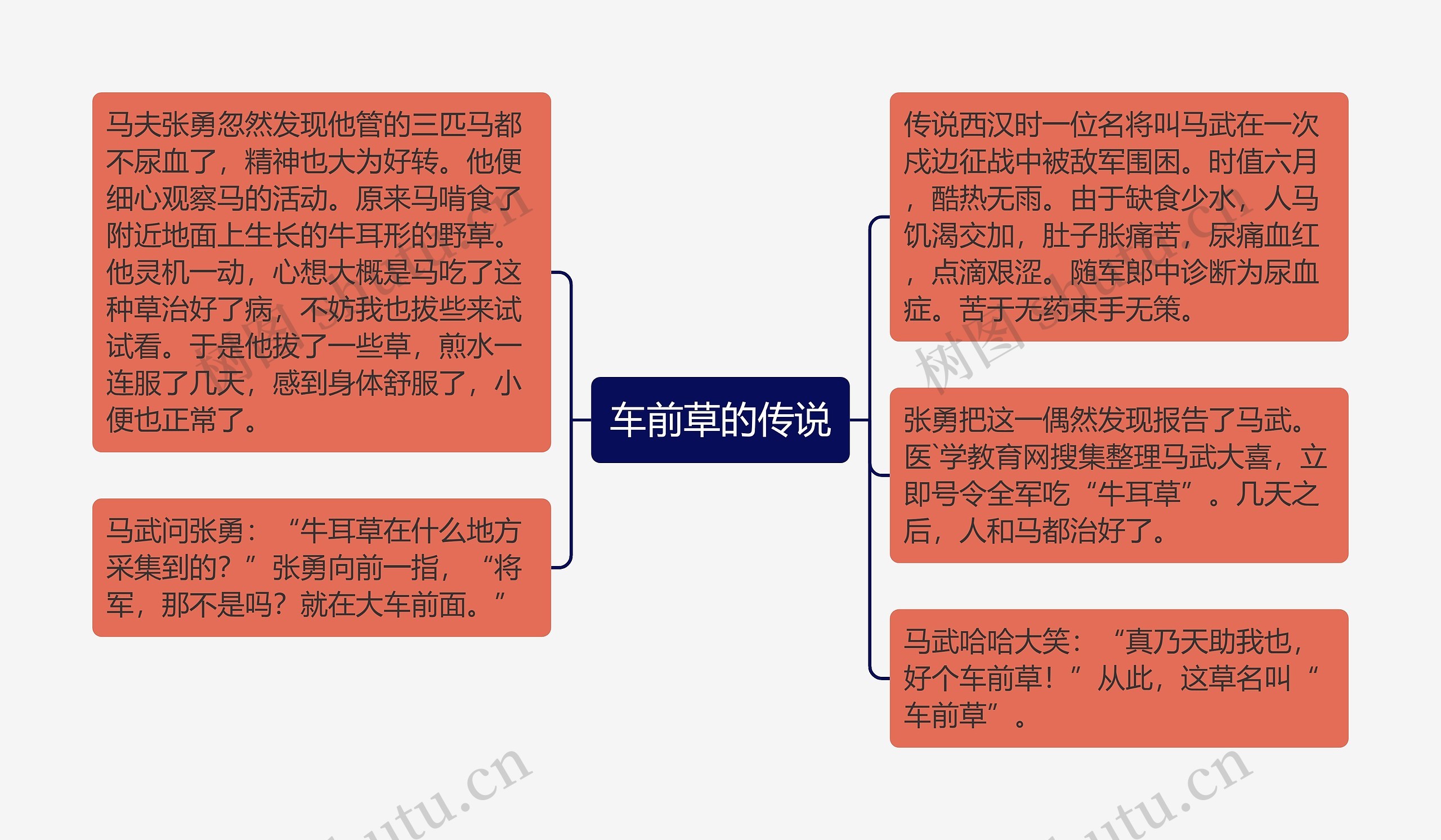 车前草的传说思维导图