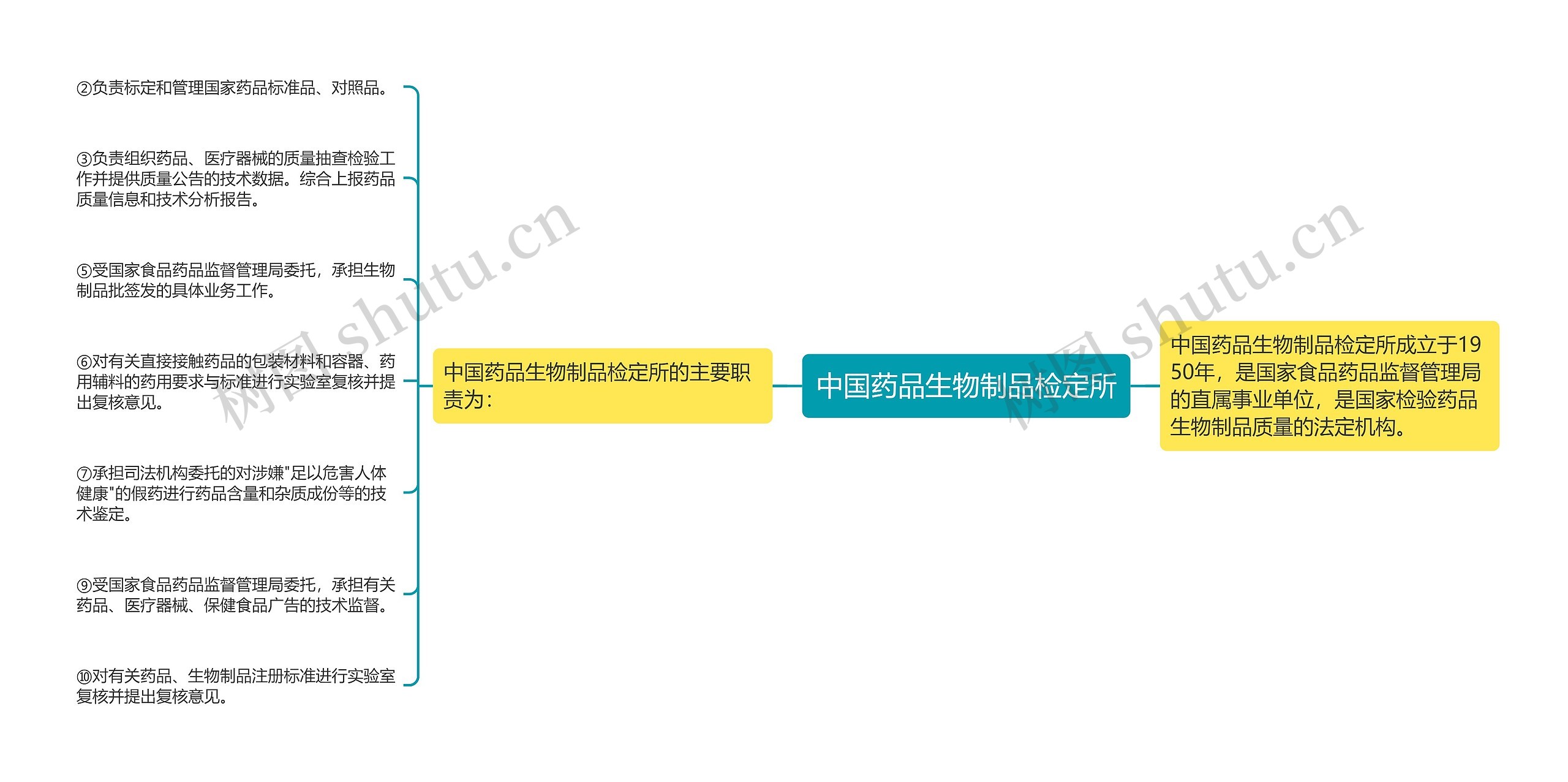 中国药品生物制品检定所思维导图