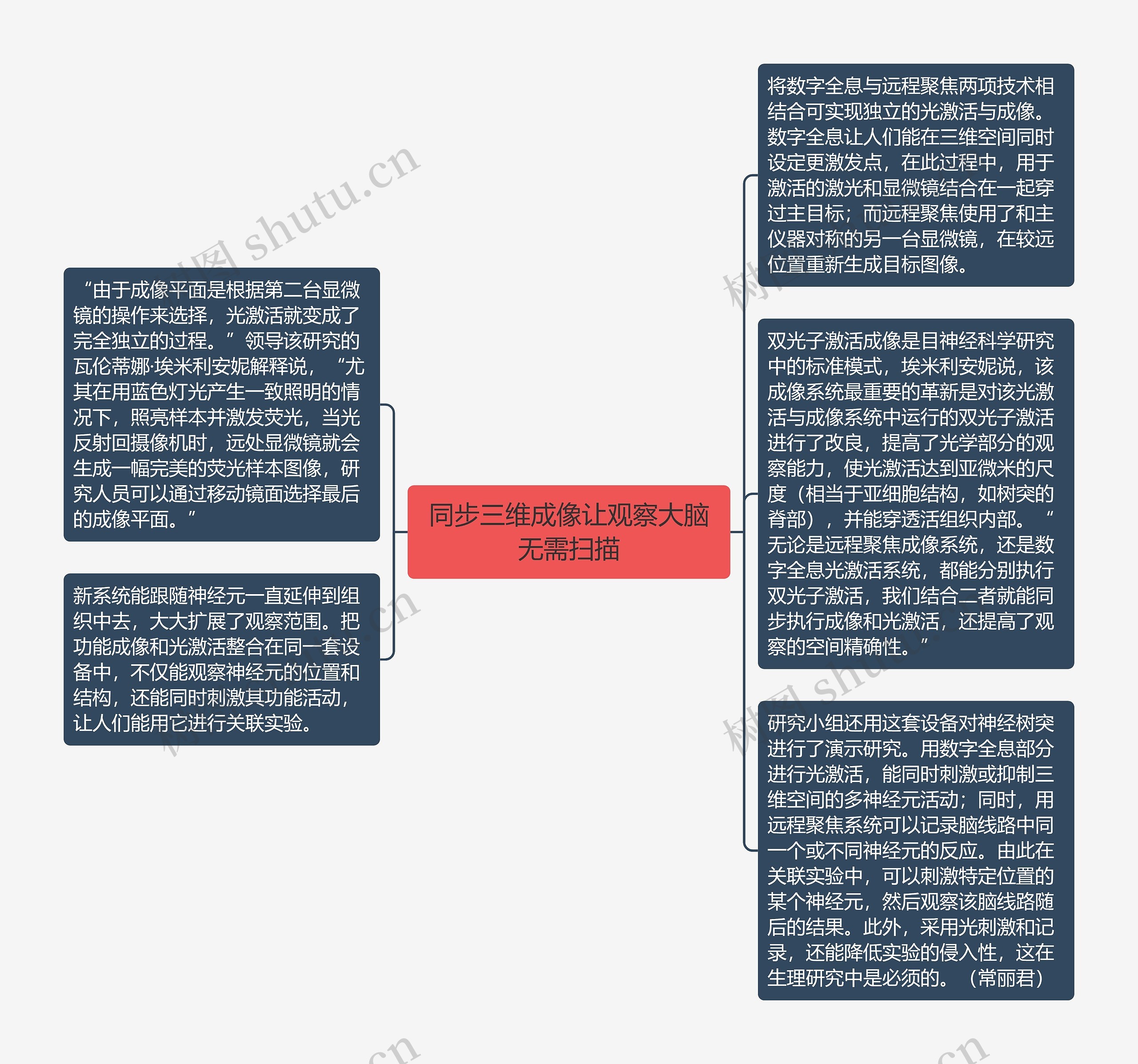 同步三维成像让观察大脑无需扫描