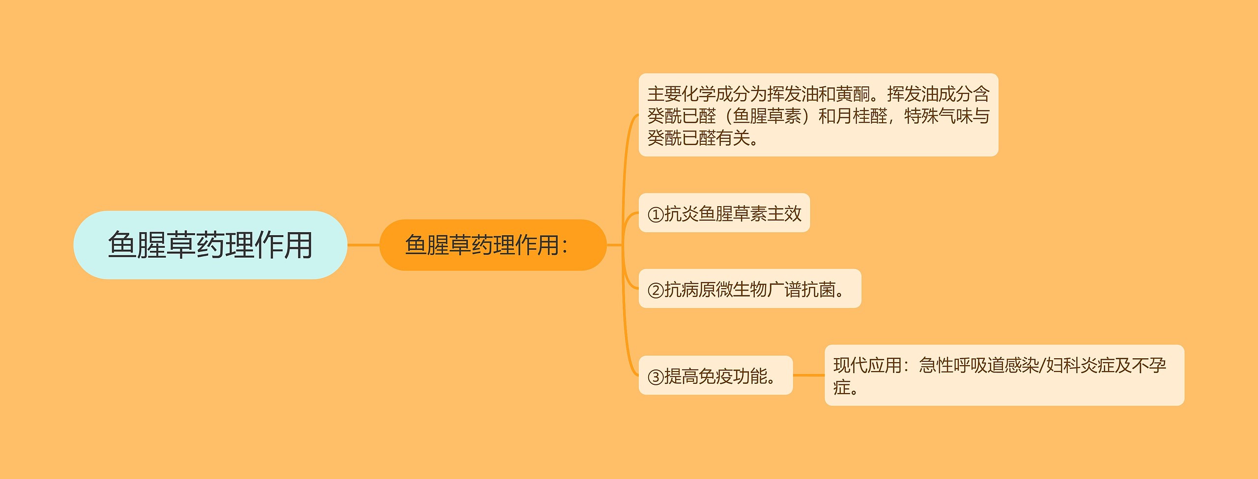 鱼腥草药理作用