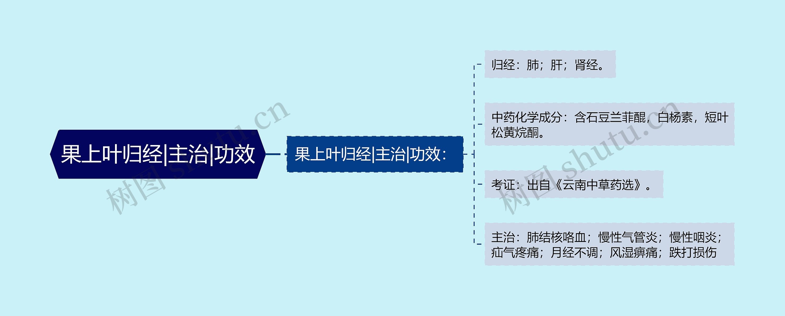 果上叶归经|主治|功效