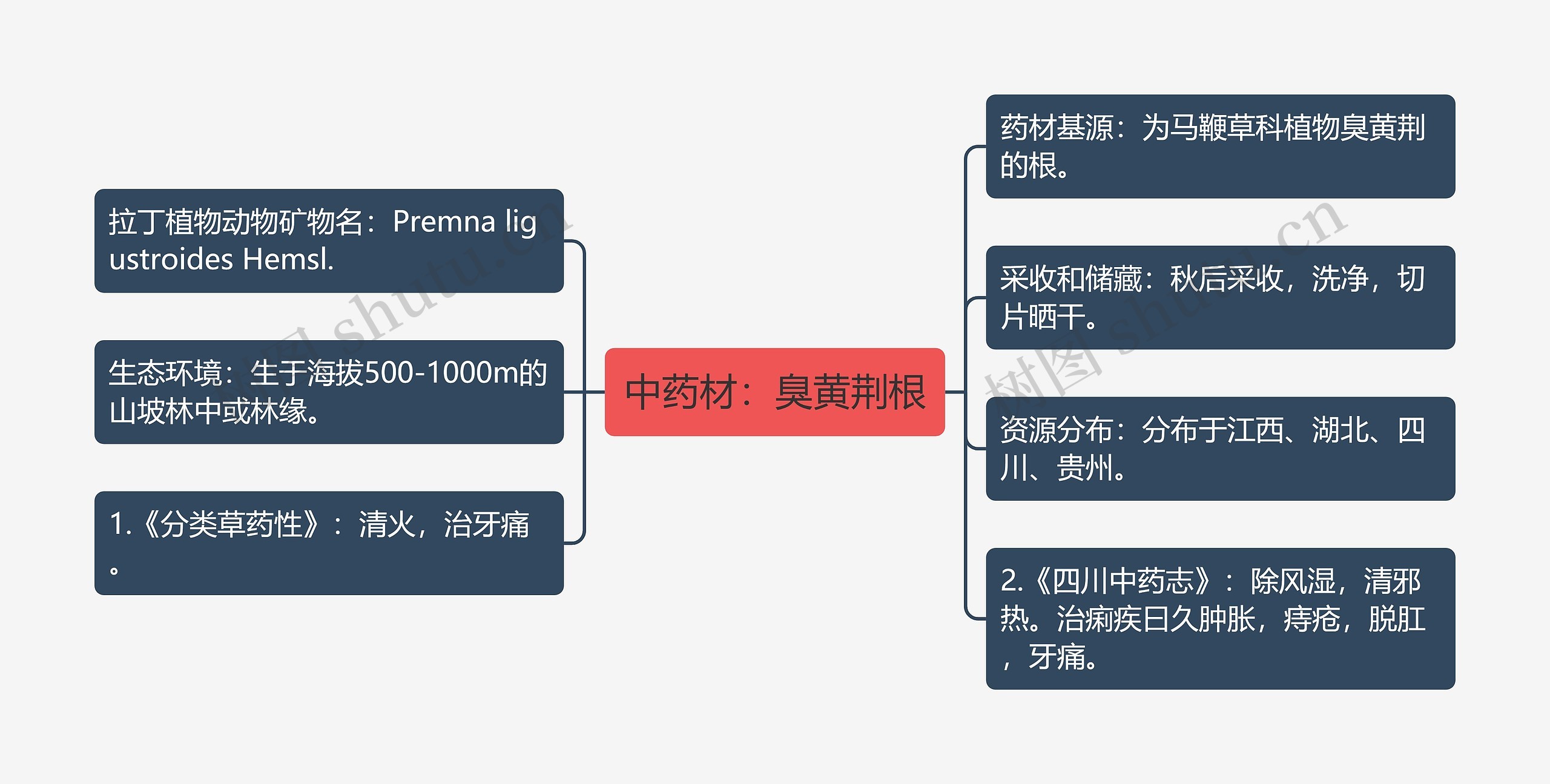 中药材：臭黄荆根思维导图