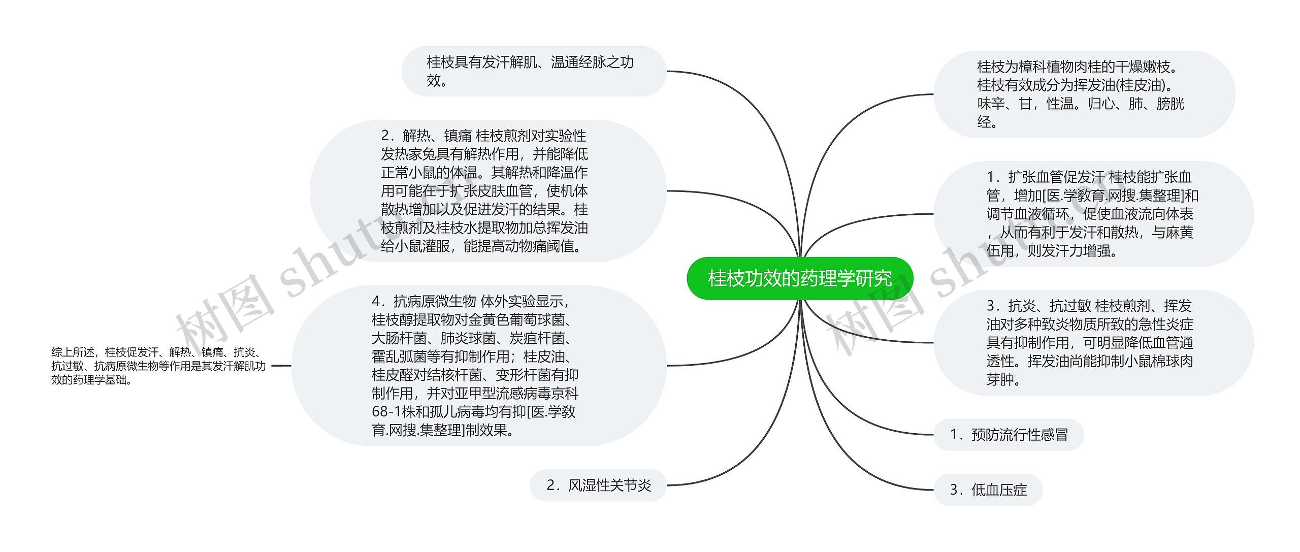 桂枝功效的药理学研究