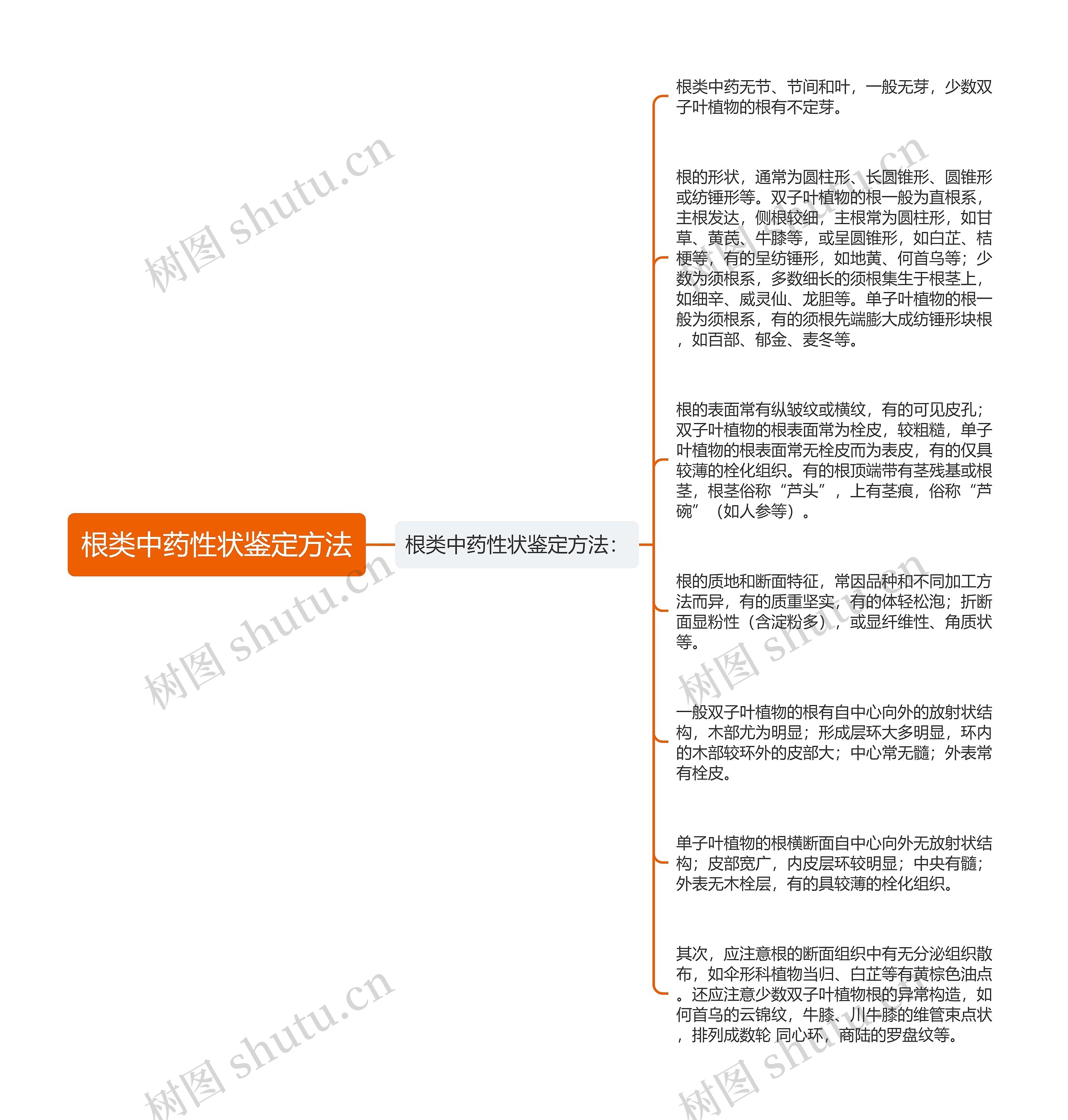 根类中药性状鉴定方法思维导图