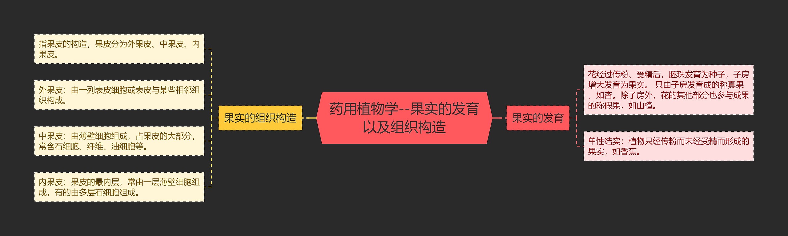 药用植物学--果实的发育以及组织构造 药用植物学--果实的发育以及组织构造