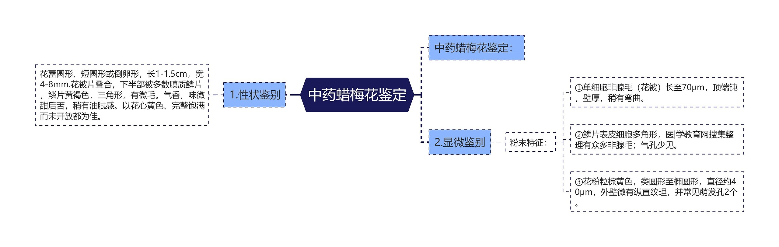 中药蜡梅花鉴定思维导图