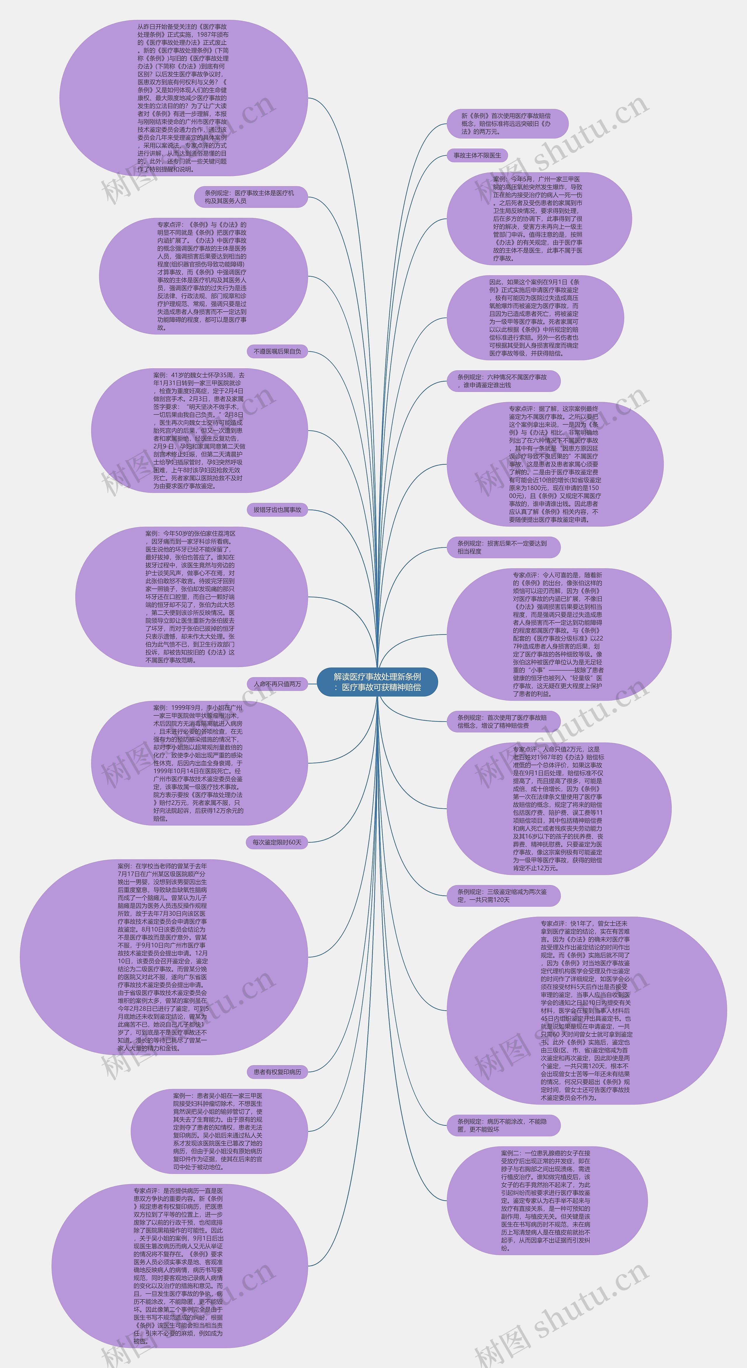 解读医疗事故处理新条例：医疗事故可获精神赔偿思维导图