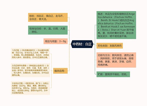 中药材：白芷