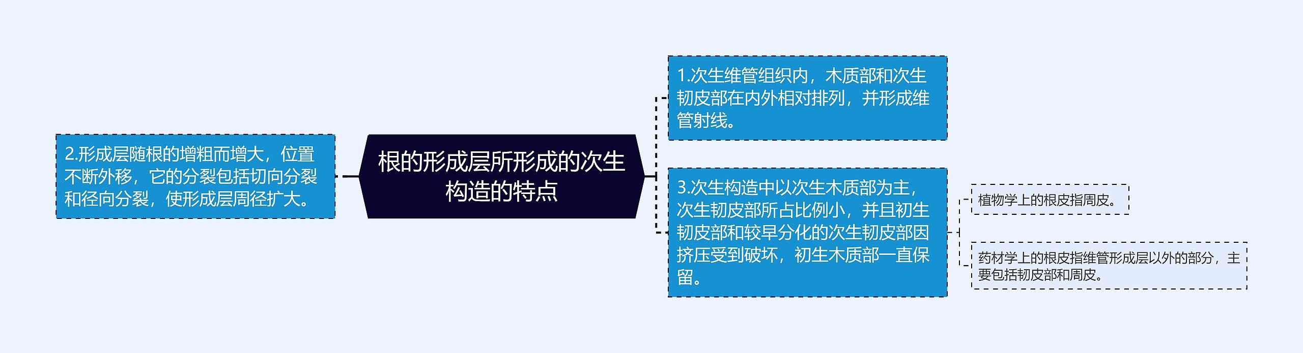 根的形成层所形成的次生构造的特点