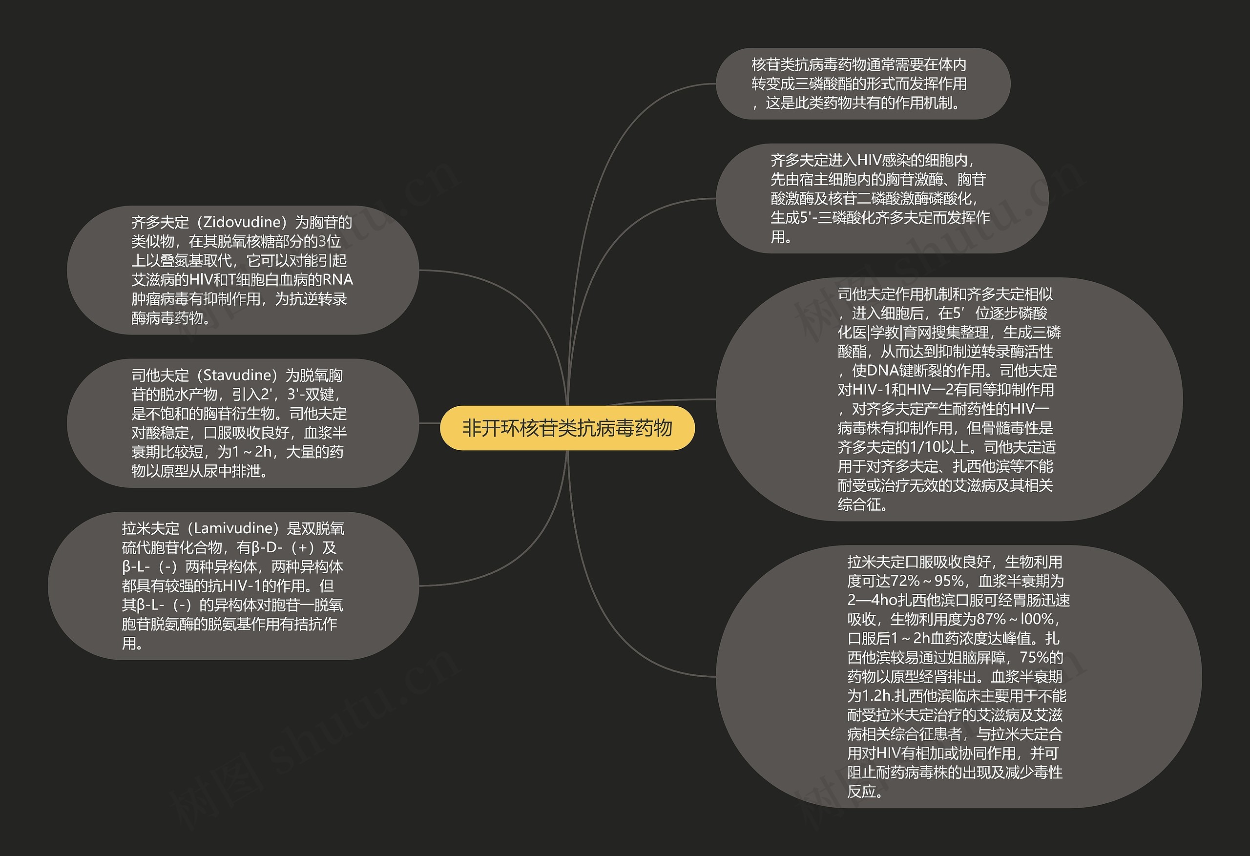 非开环核苷类抗病毒药物思维导图