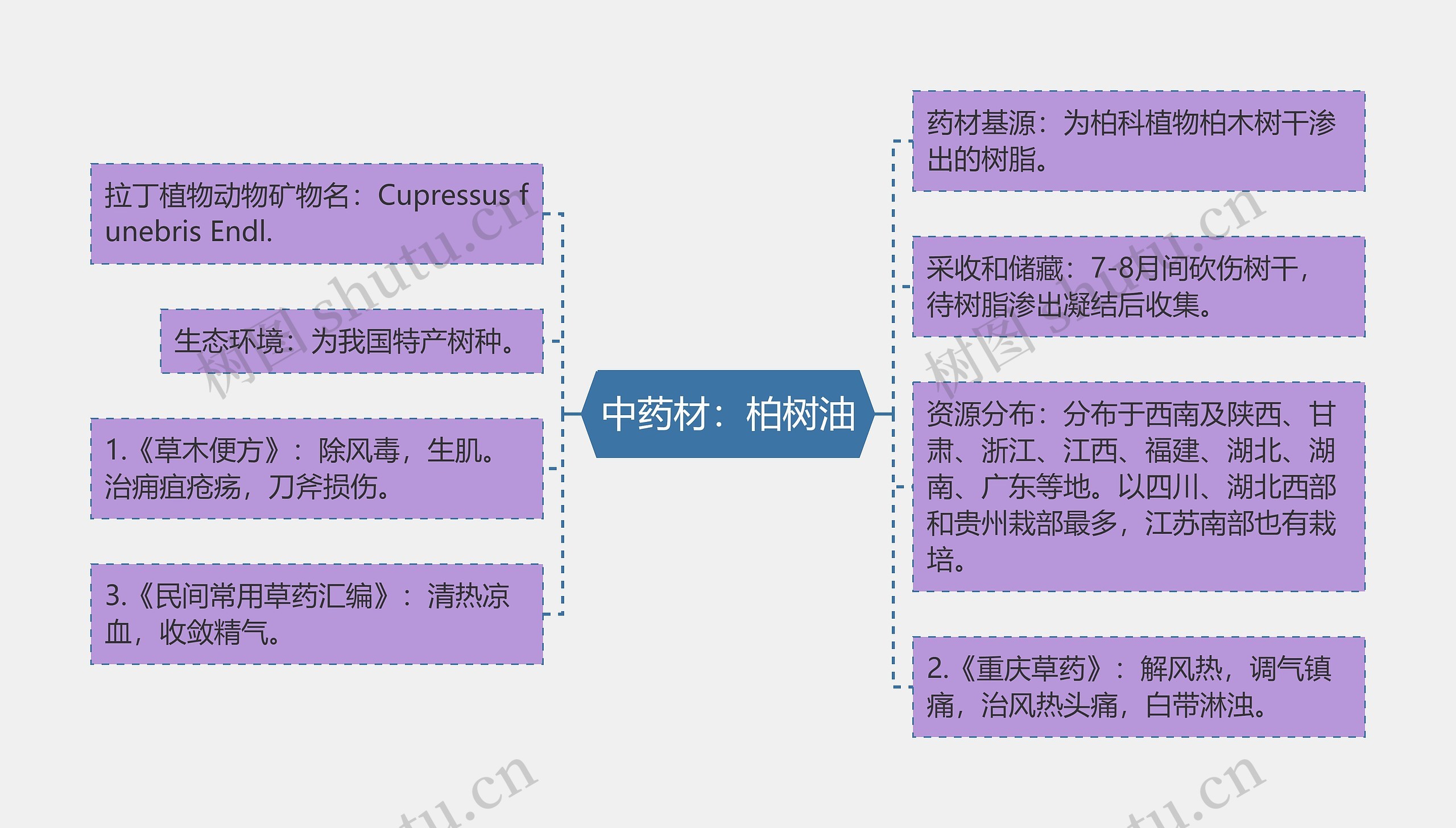 中药材：柏树油思维导图