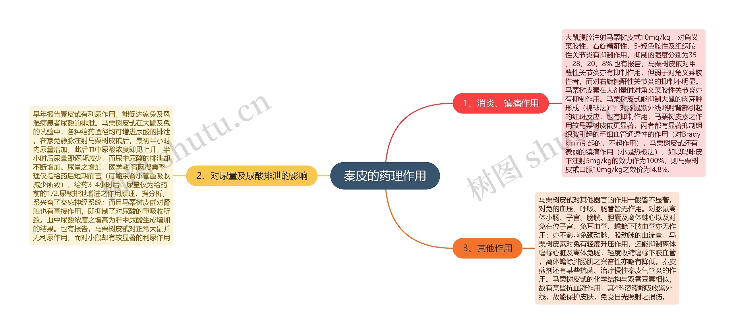 秦皮的药理作用思维导图