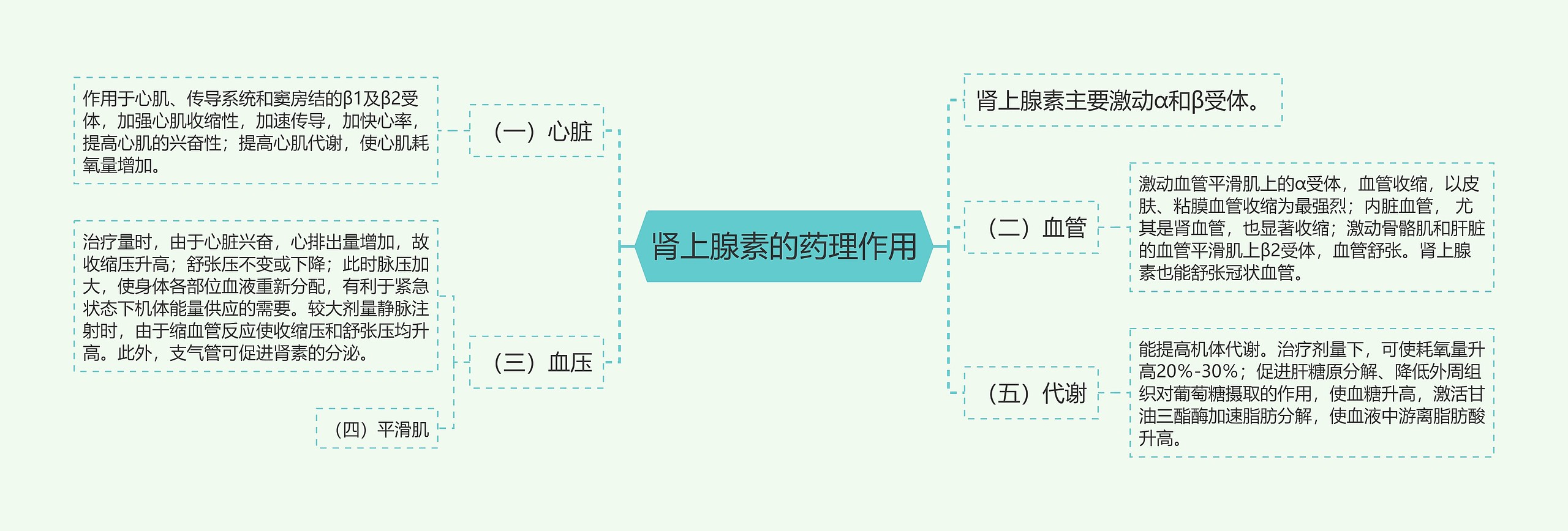 肾上腺素的药理作用思维导图