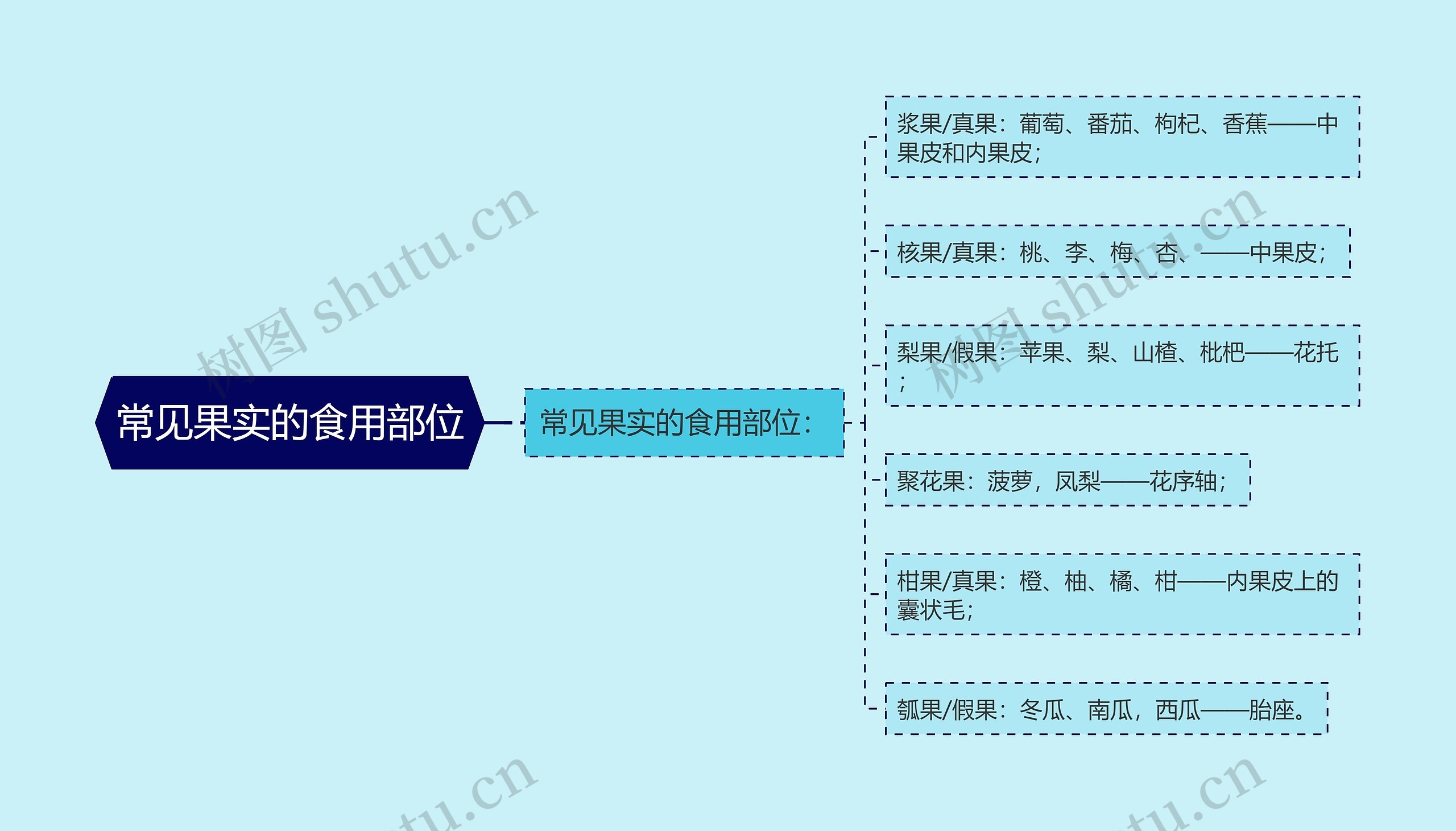 常见果实的食用部位