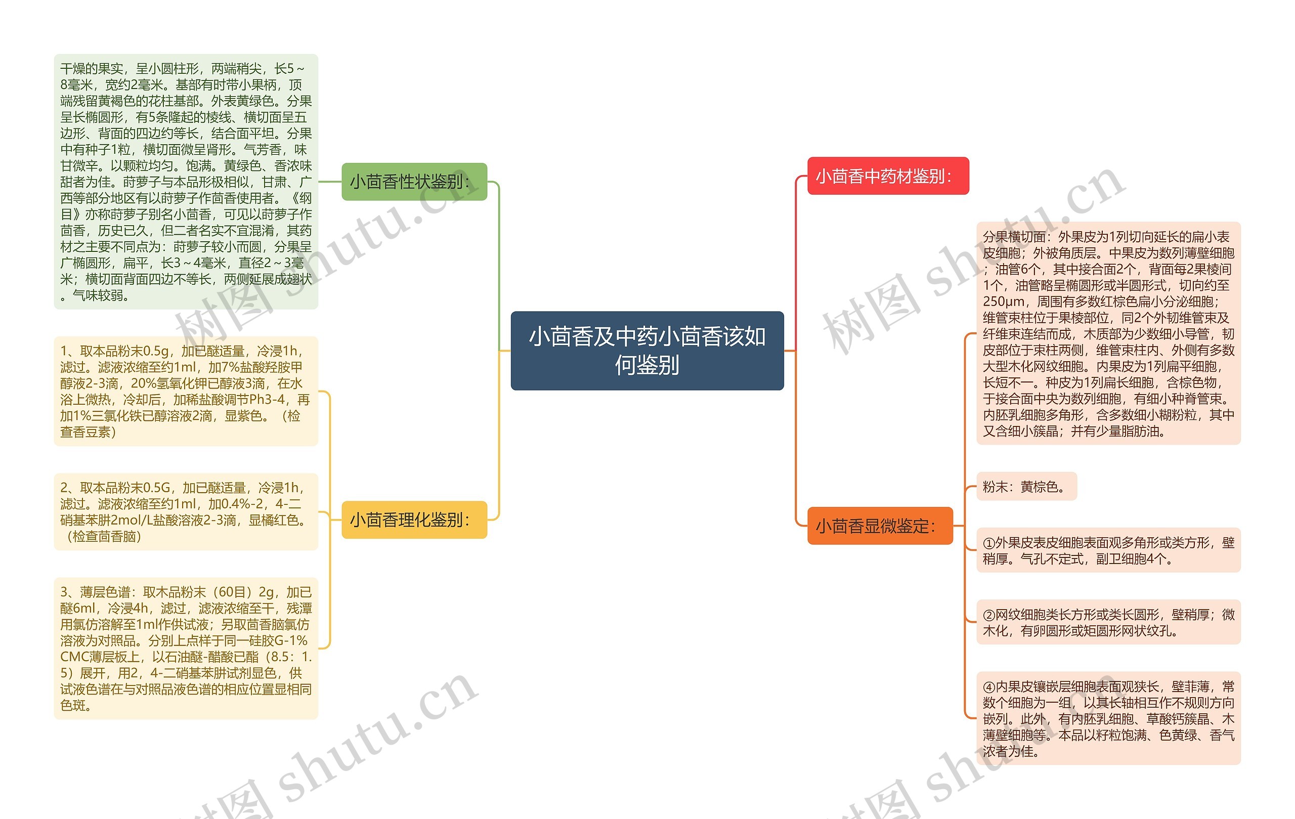 小茴香及中药小茴香该如何鉴别思维导图