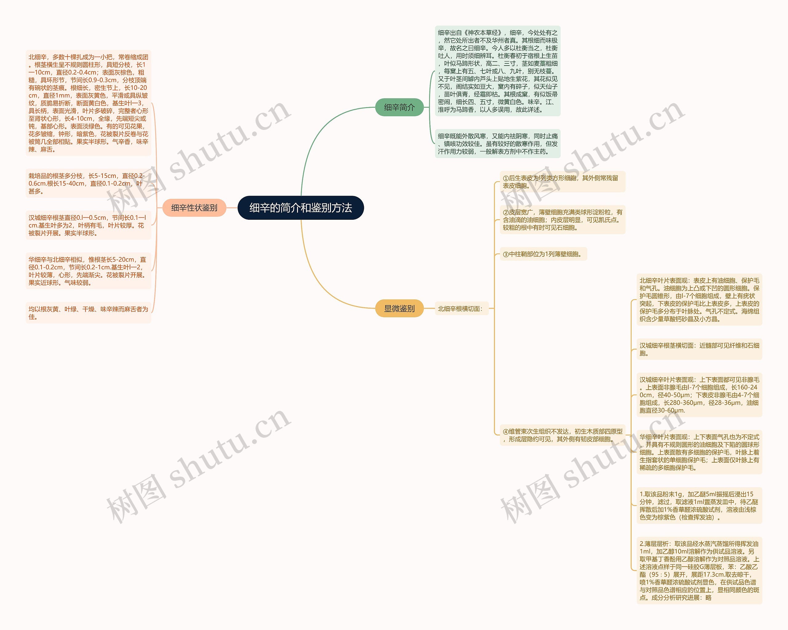细辛的简介和鉴别方法思维导图